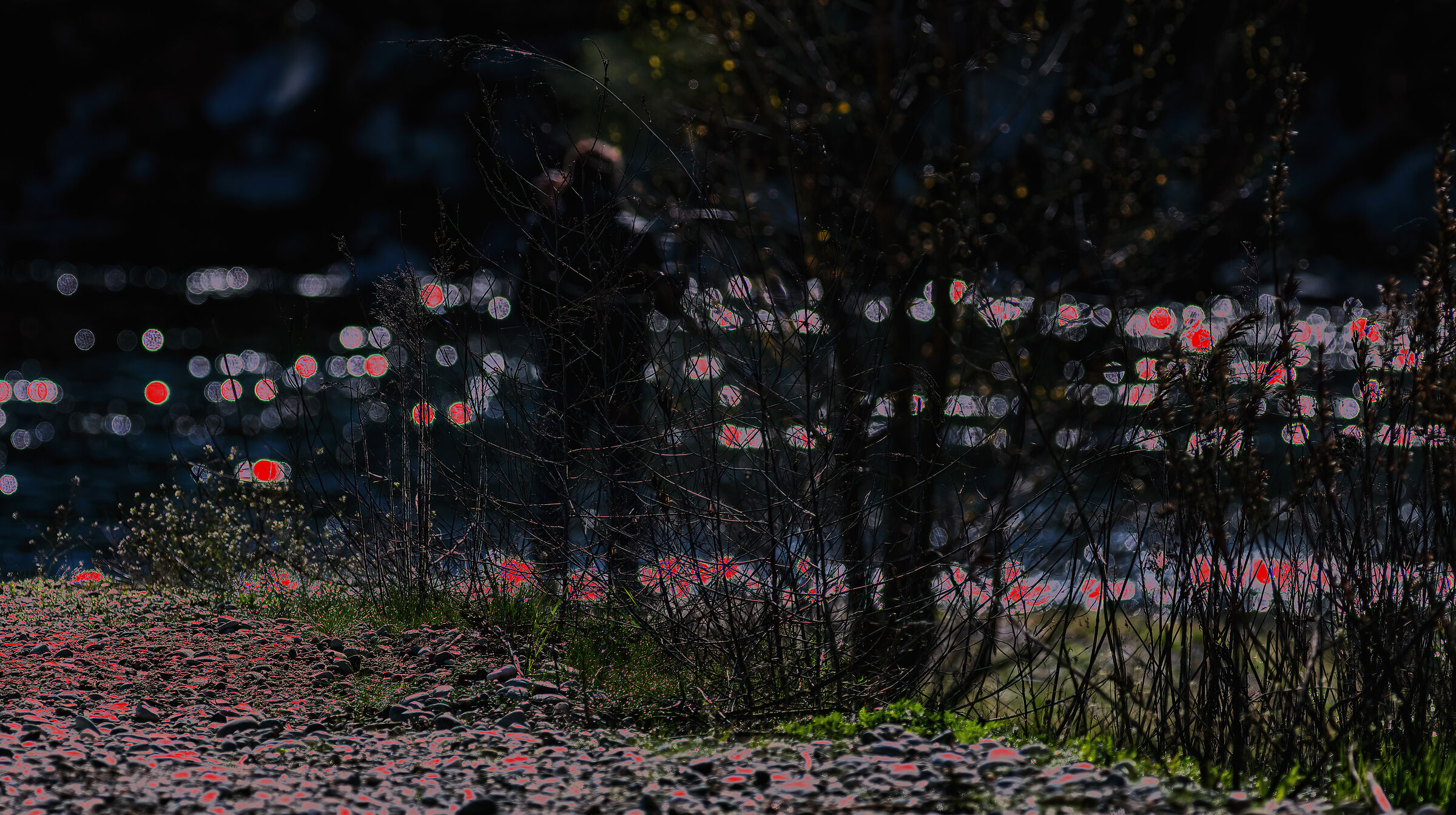 Visioni al Ramo Delle Streghe