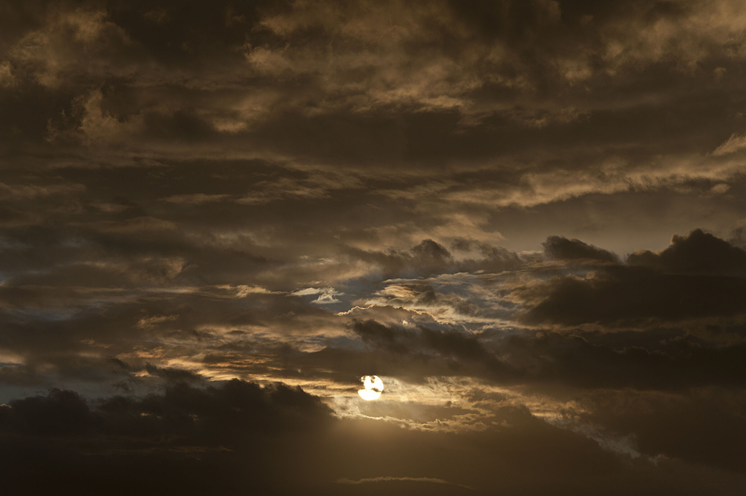 Untitled Photo