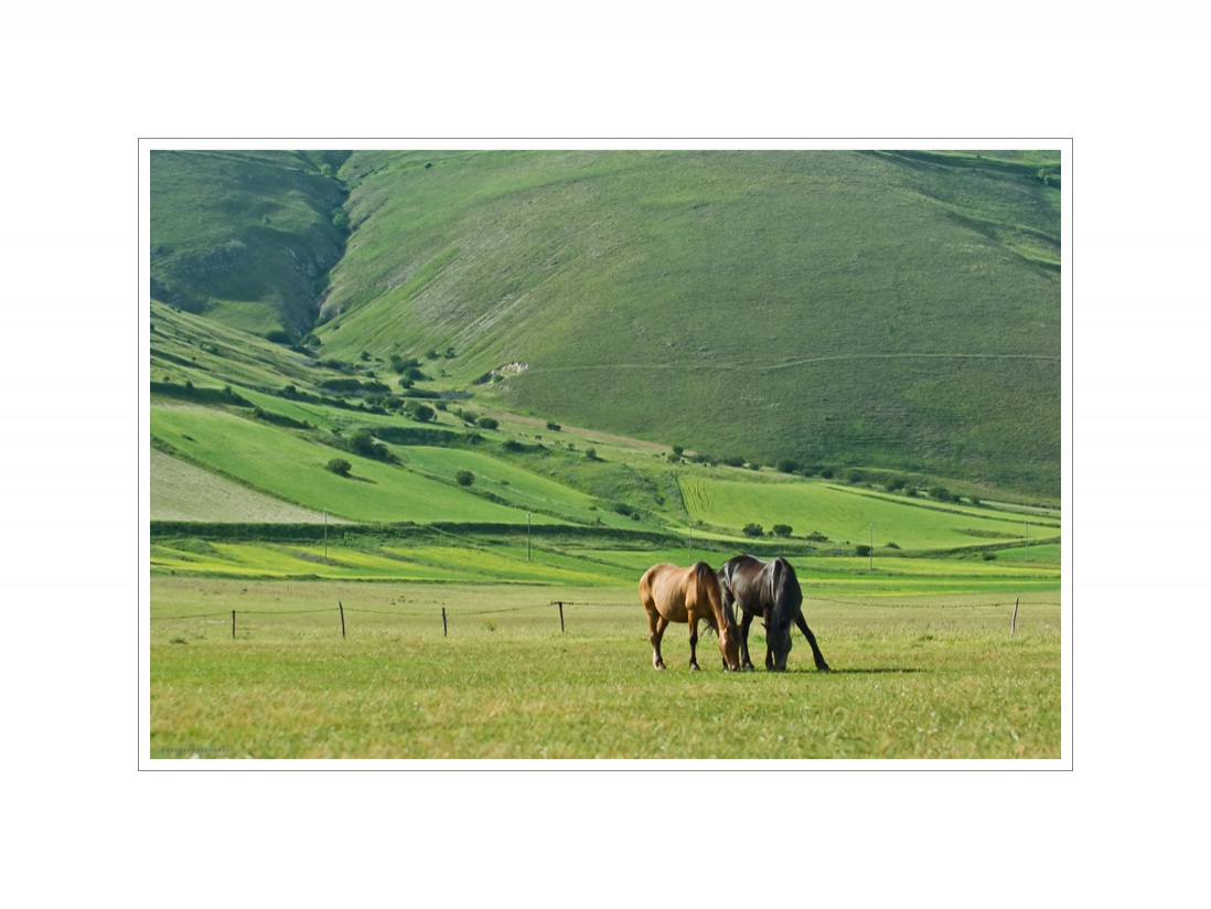 La piana di Castelluccio