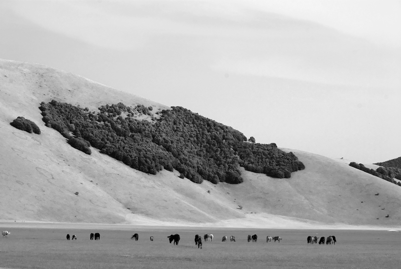 La piana di Castelluccio 001