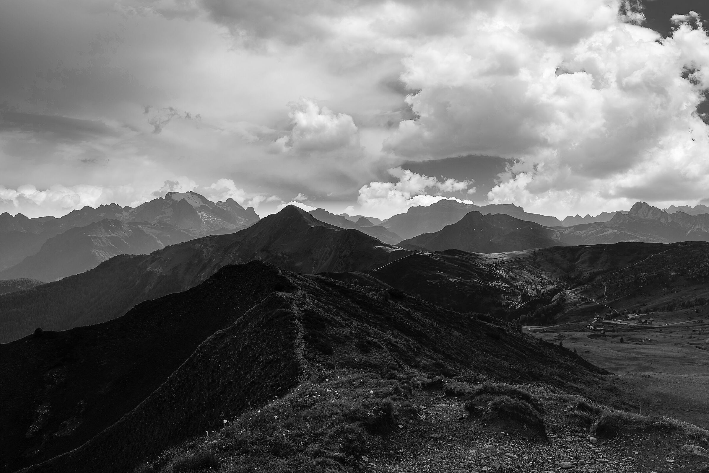 Untitled Photo