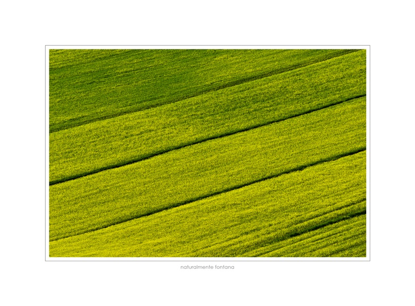 Naturalmente Fontana