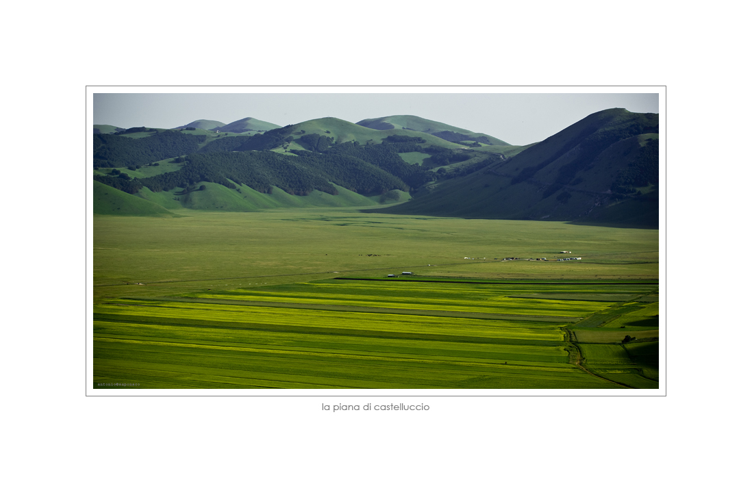 La piana di Castelluccio 003