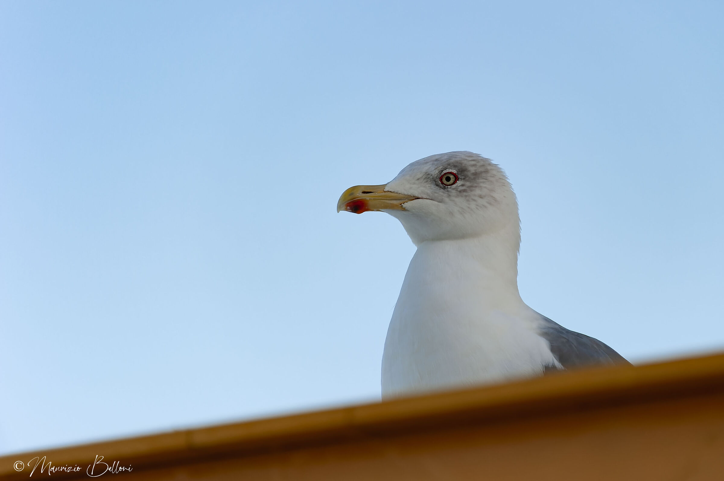 ST