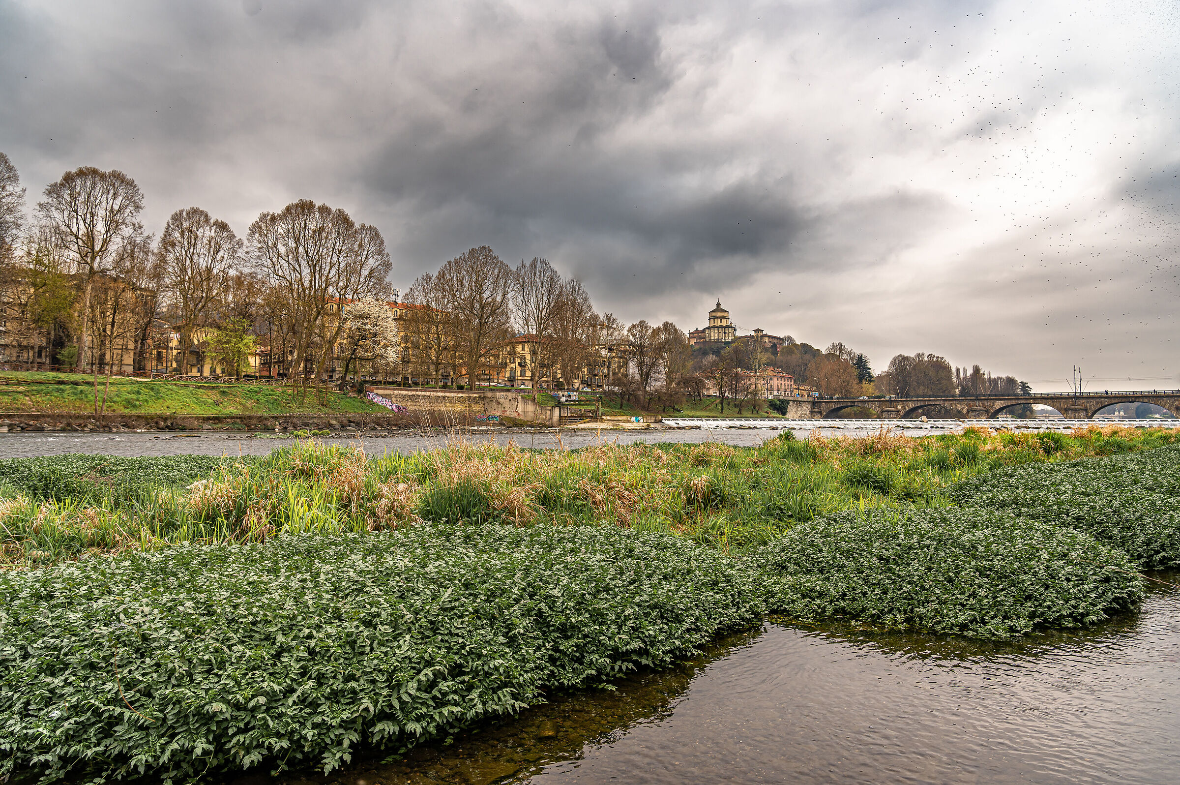 Turin Gran Madre Bridge and Monte dei Cappuccini..