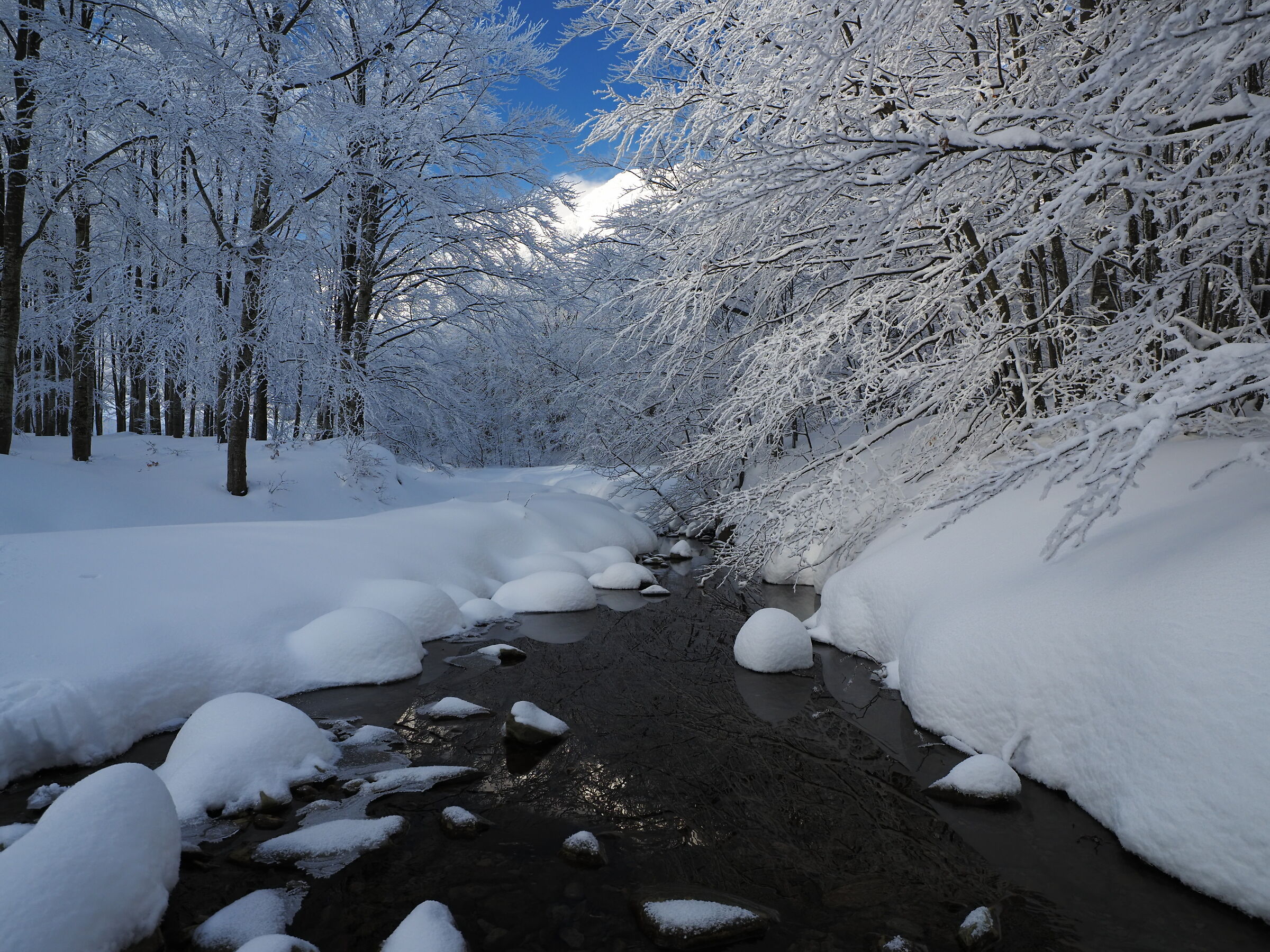 The torrent in winter