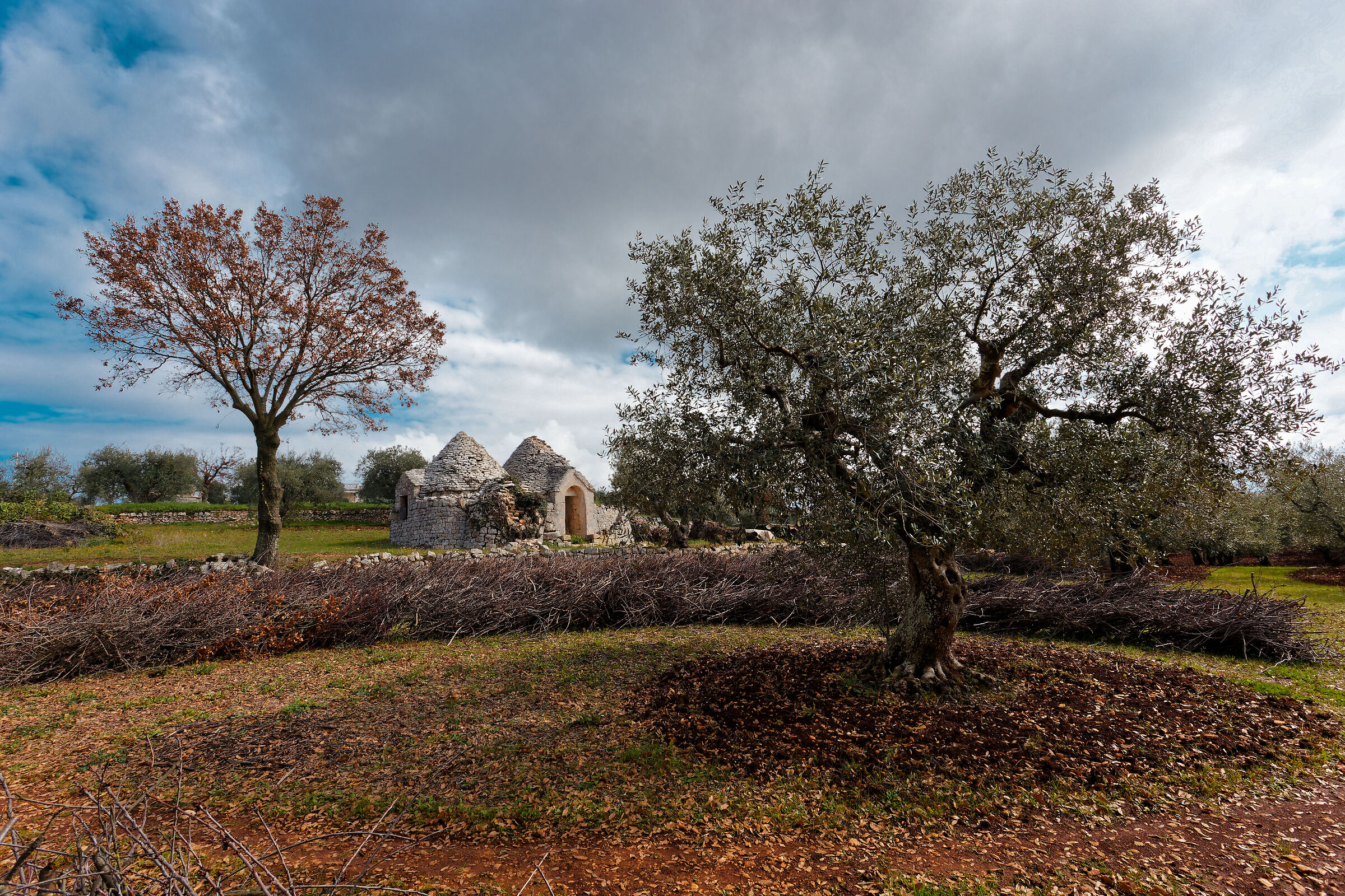 fine inverno in valle d'itria