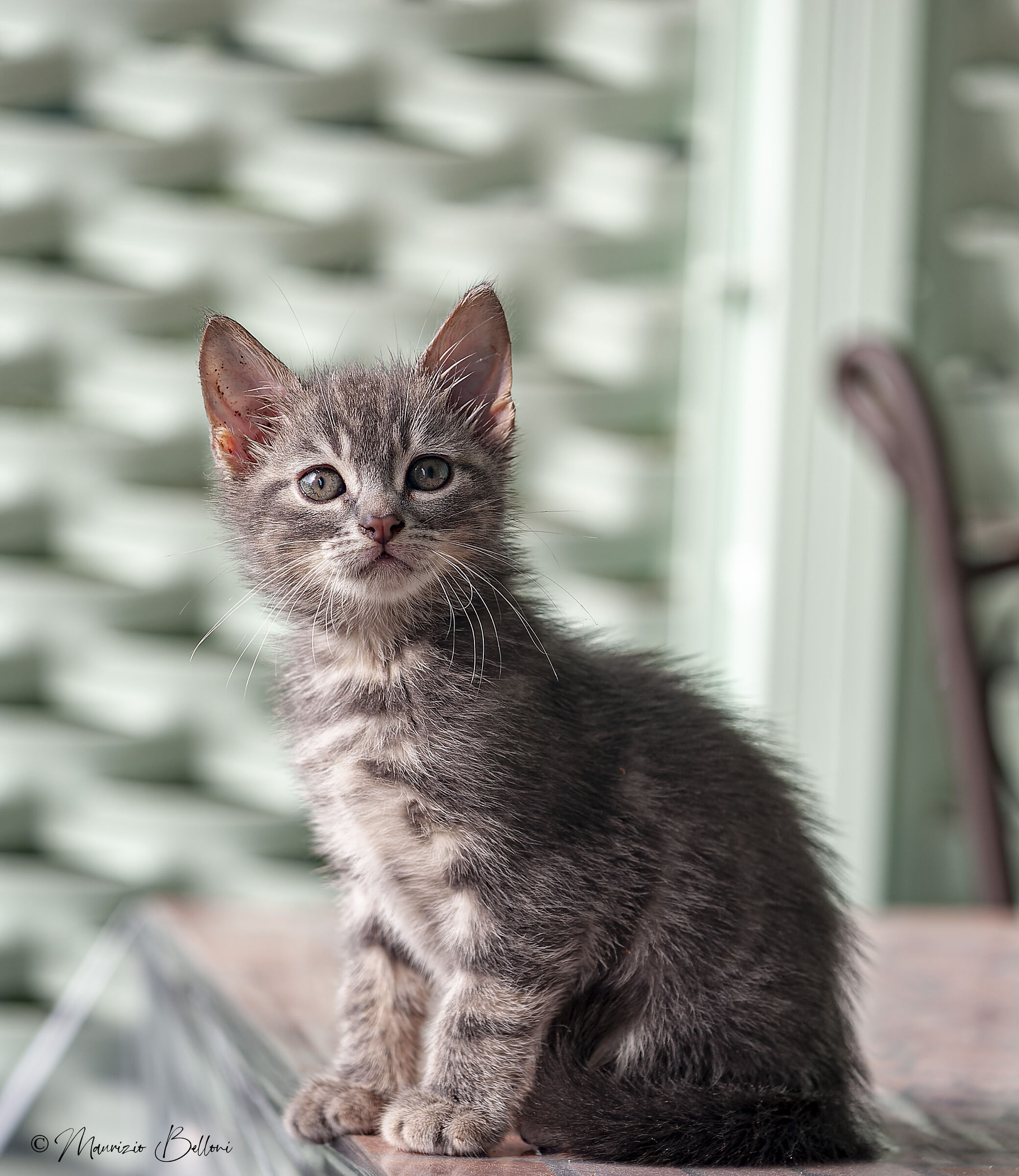 Milo