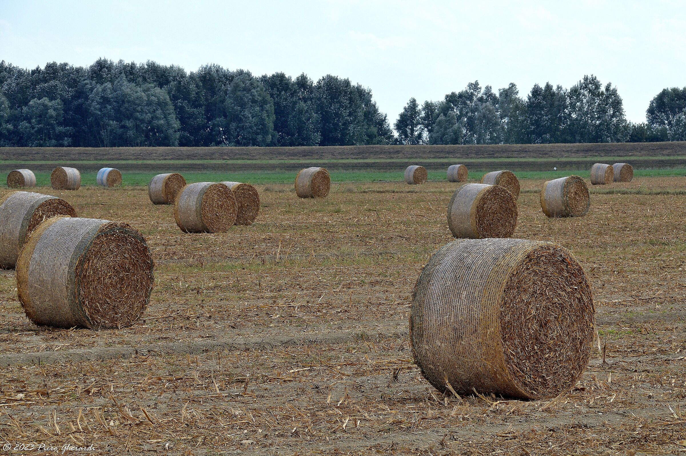 Campagna