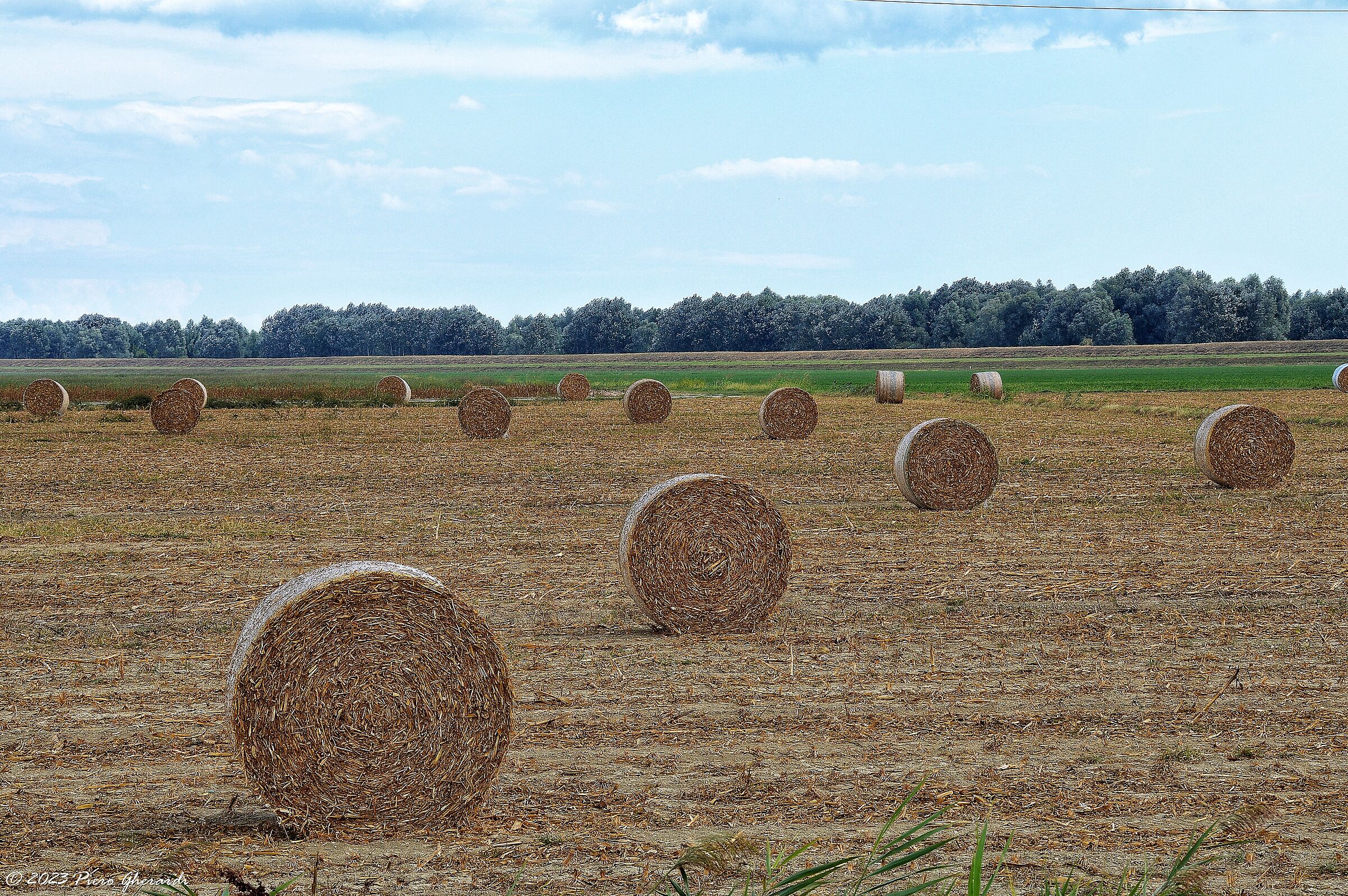 Campagna
