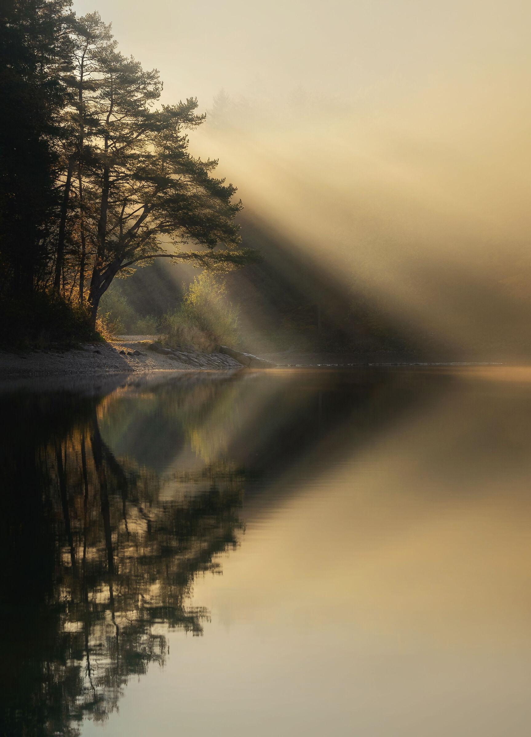 Riflessione perfetta