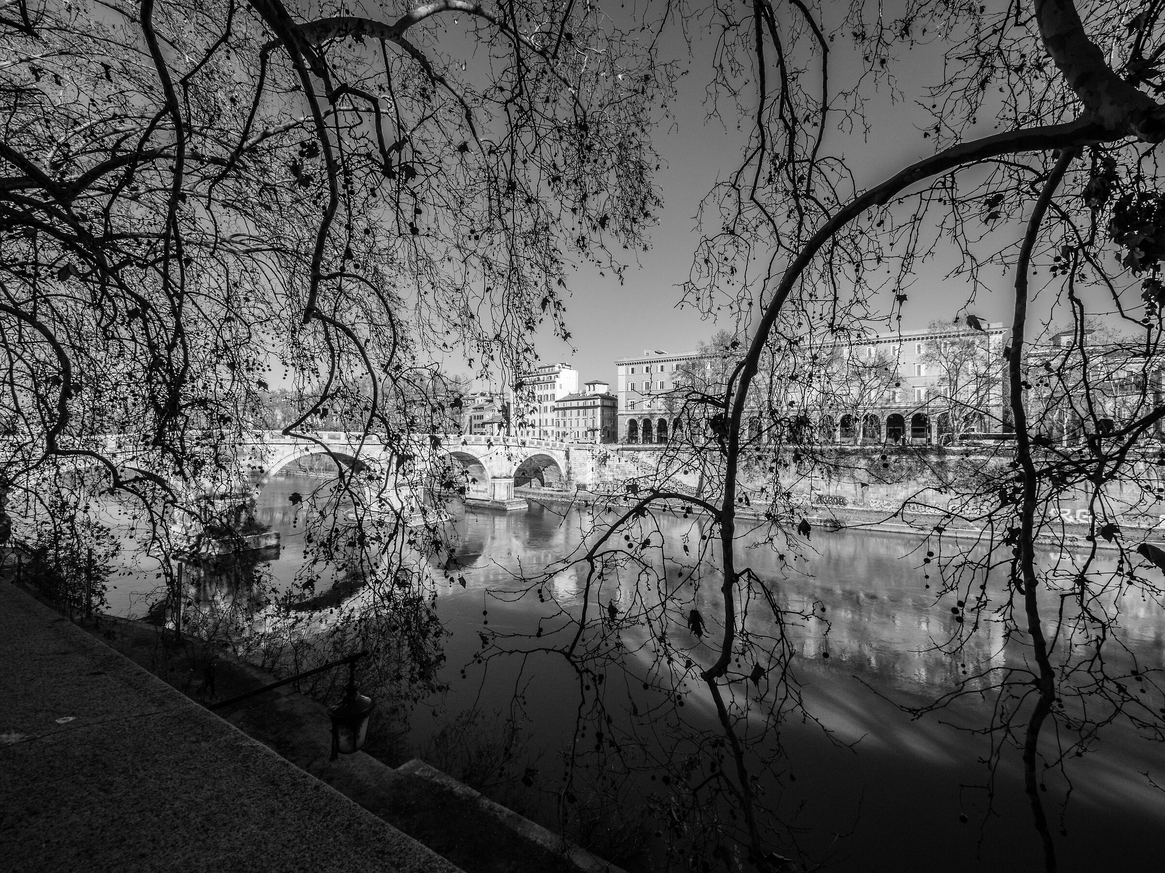 Lungotevere
