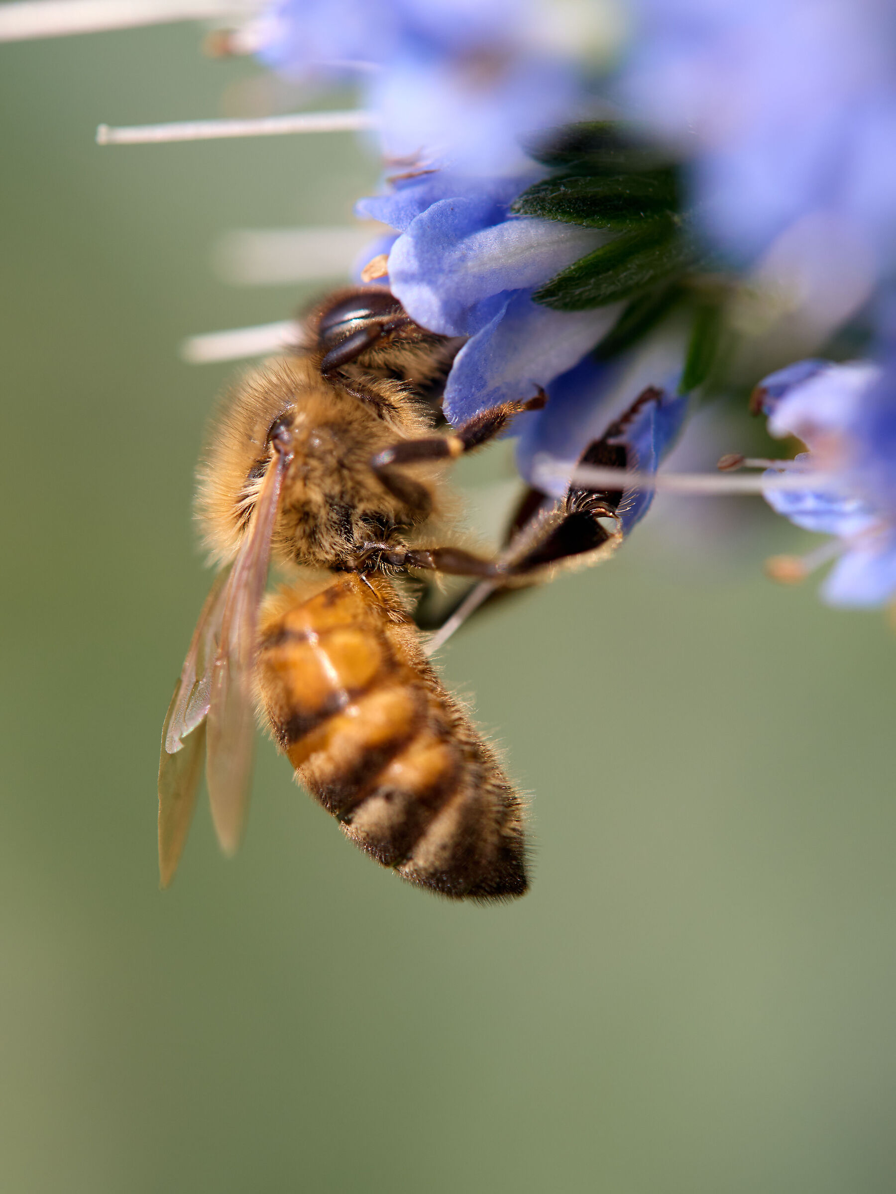 I hope I don't fall!