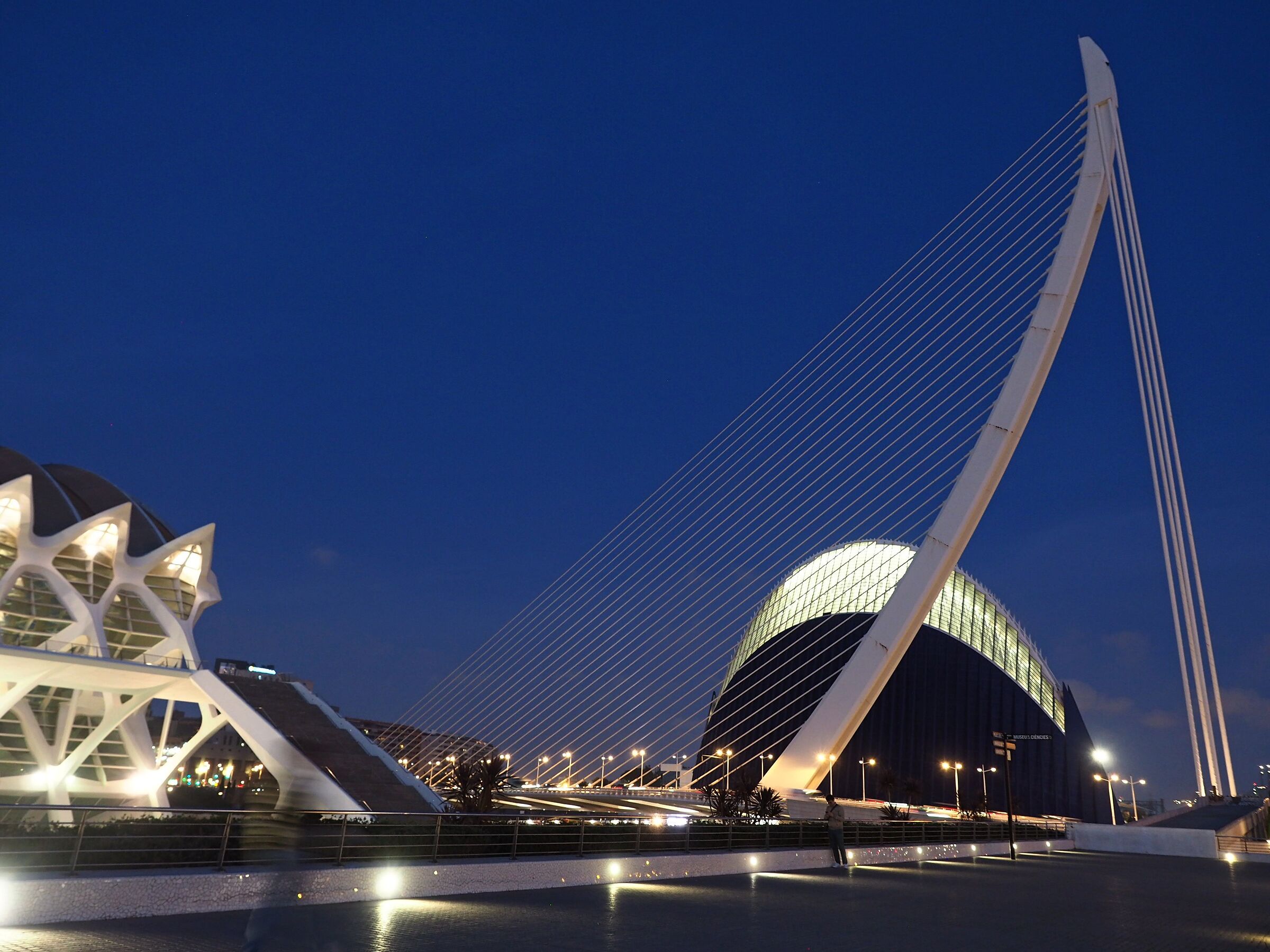 Valencia opera di Calatrava