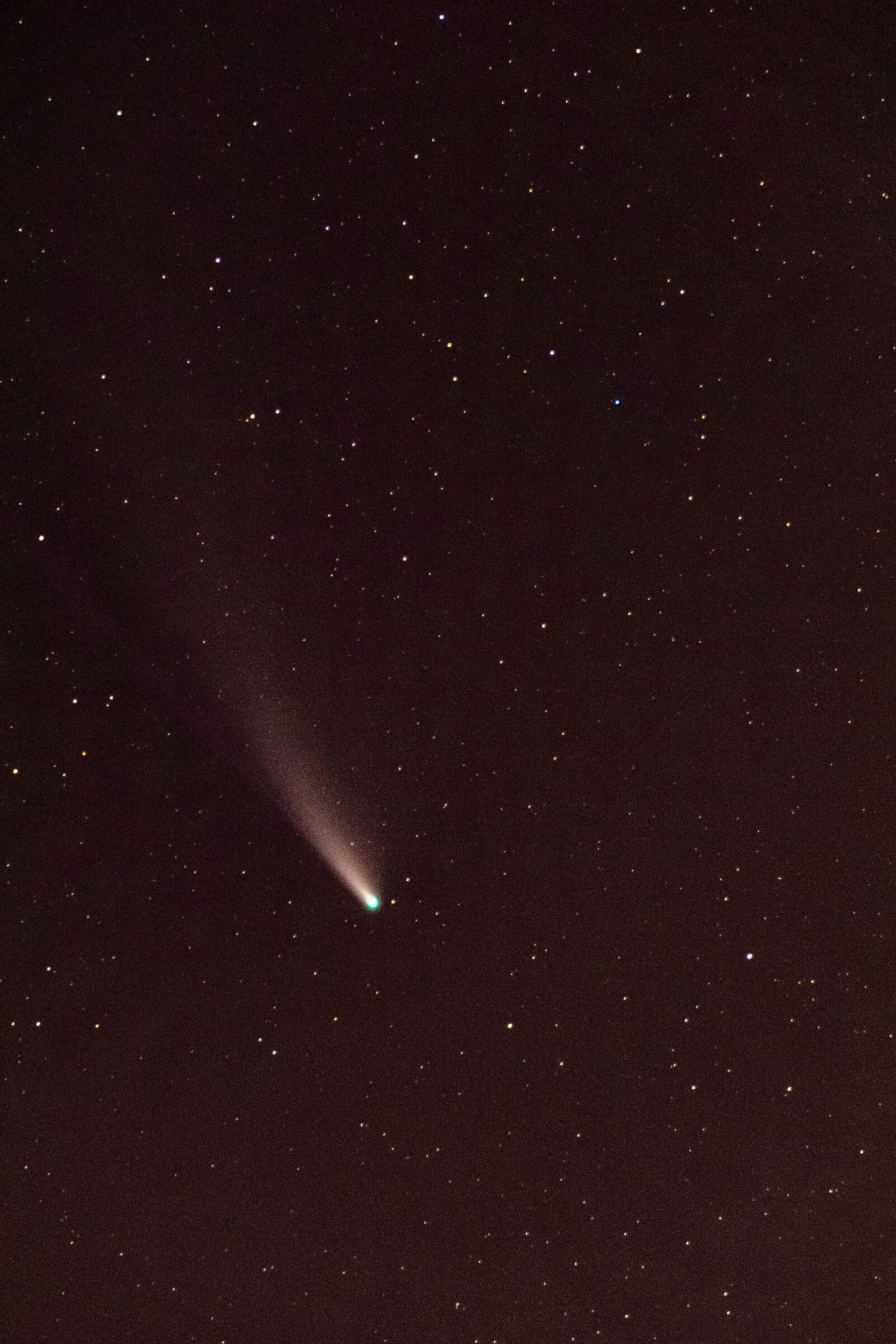 Comet Neowise 2021