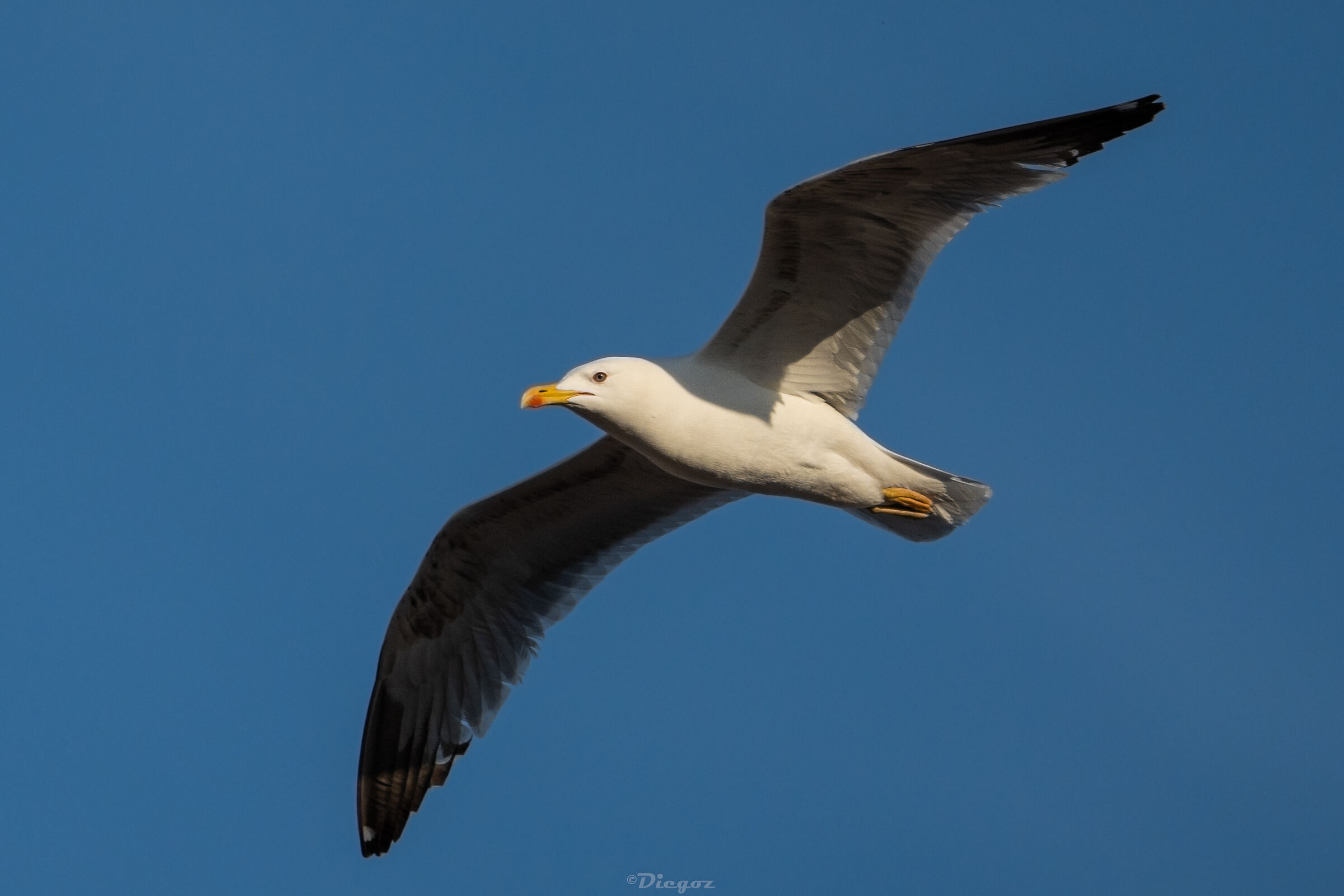 Untitled Photo