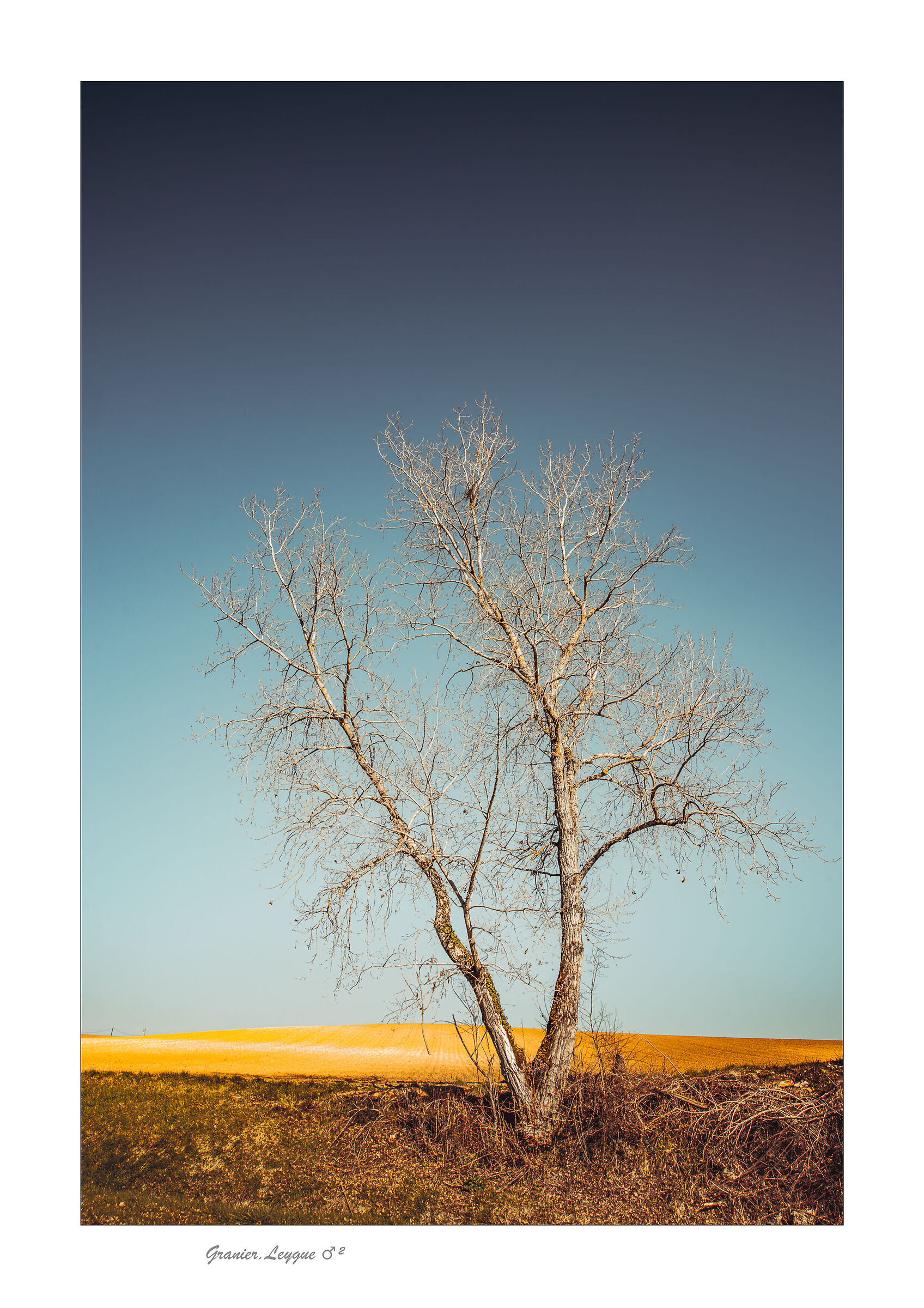 the convict of St-Urcisse