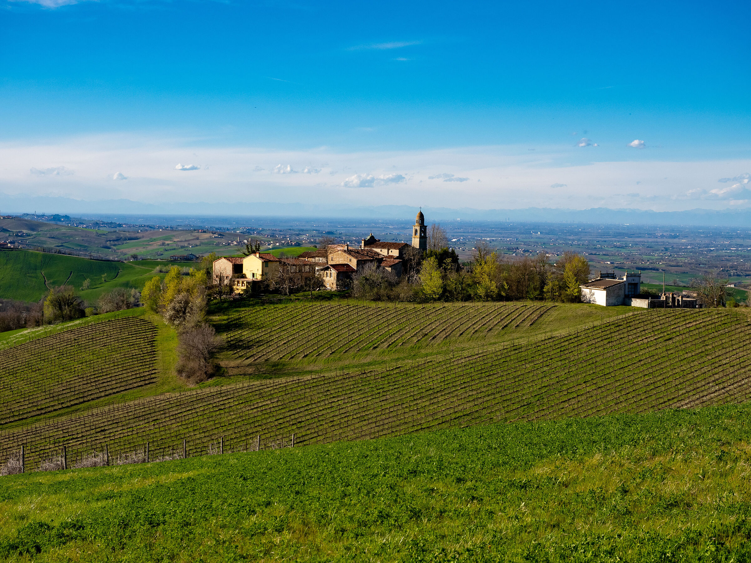 Vidiano Soprano - Piozzano (Piacenza)