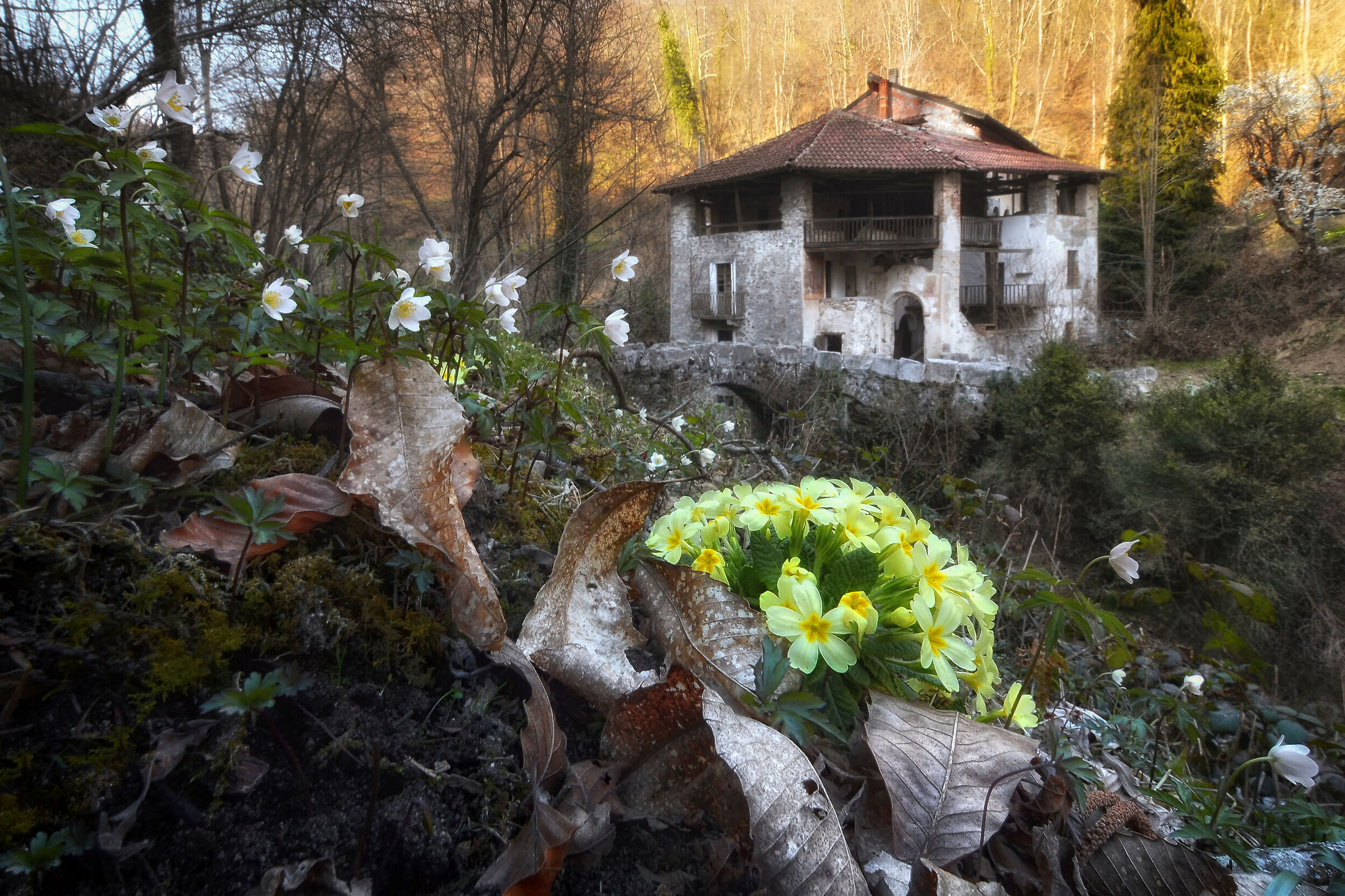Spring at the Mill Welcome
