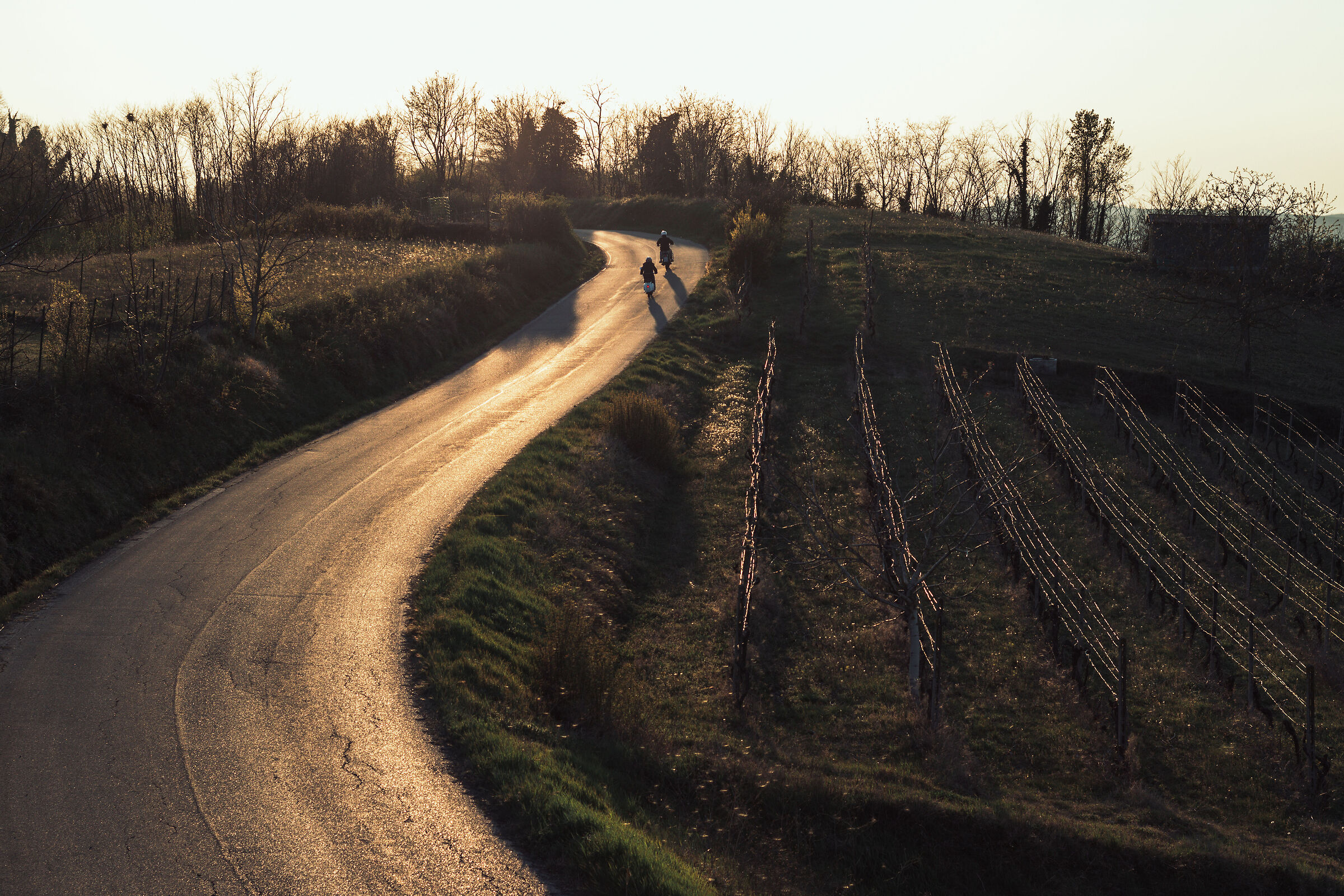 Senza Titolo