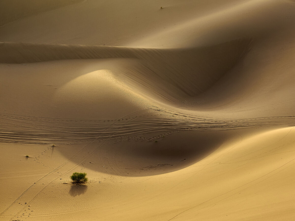Deserto marocchino
