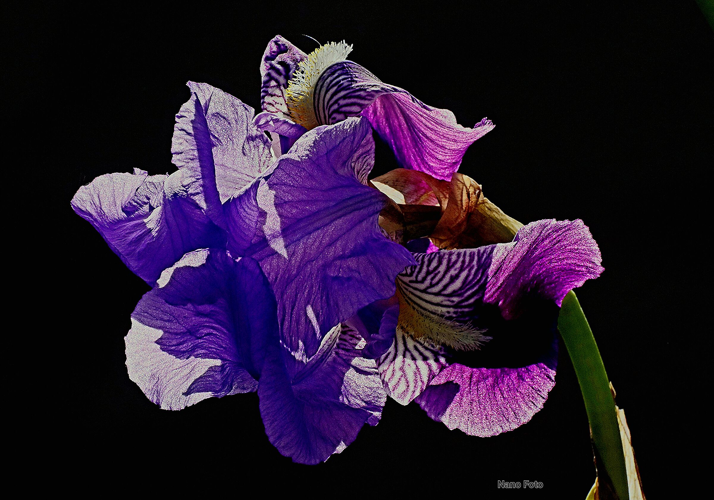 Untitled Photo