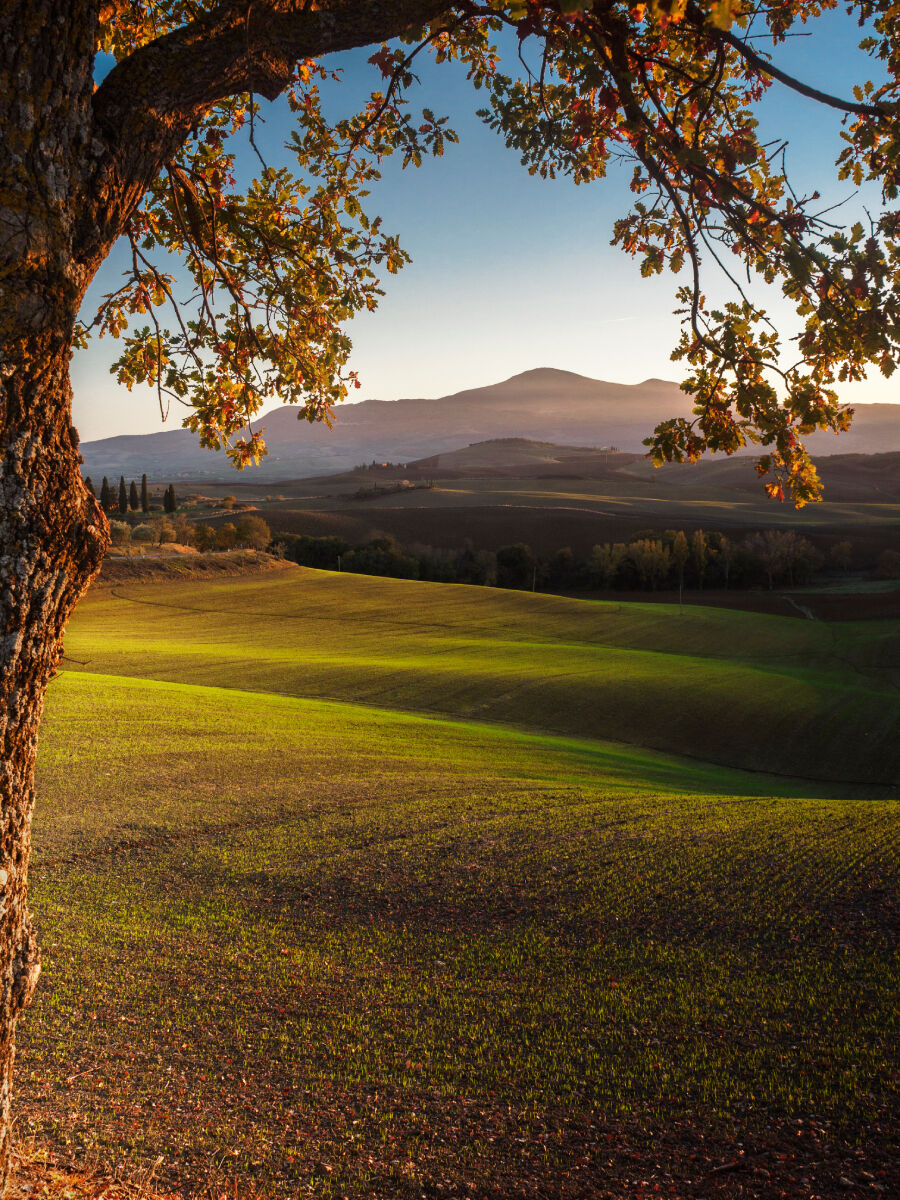 Val d'Orcia