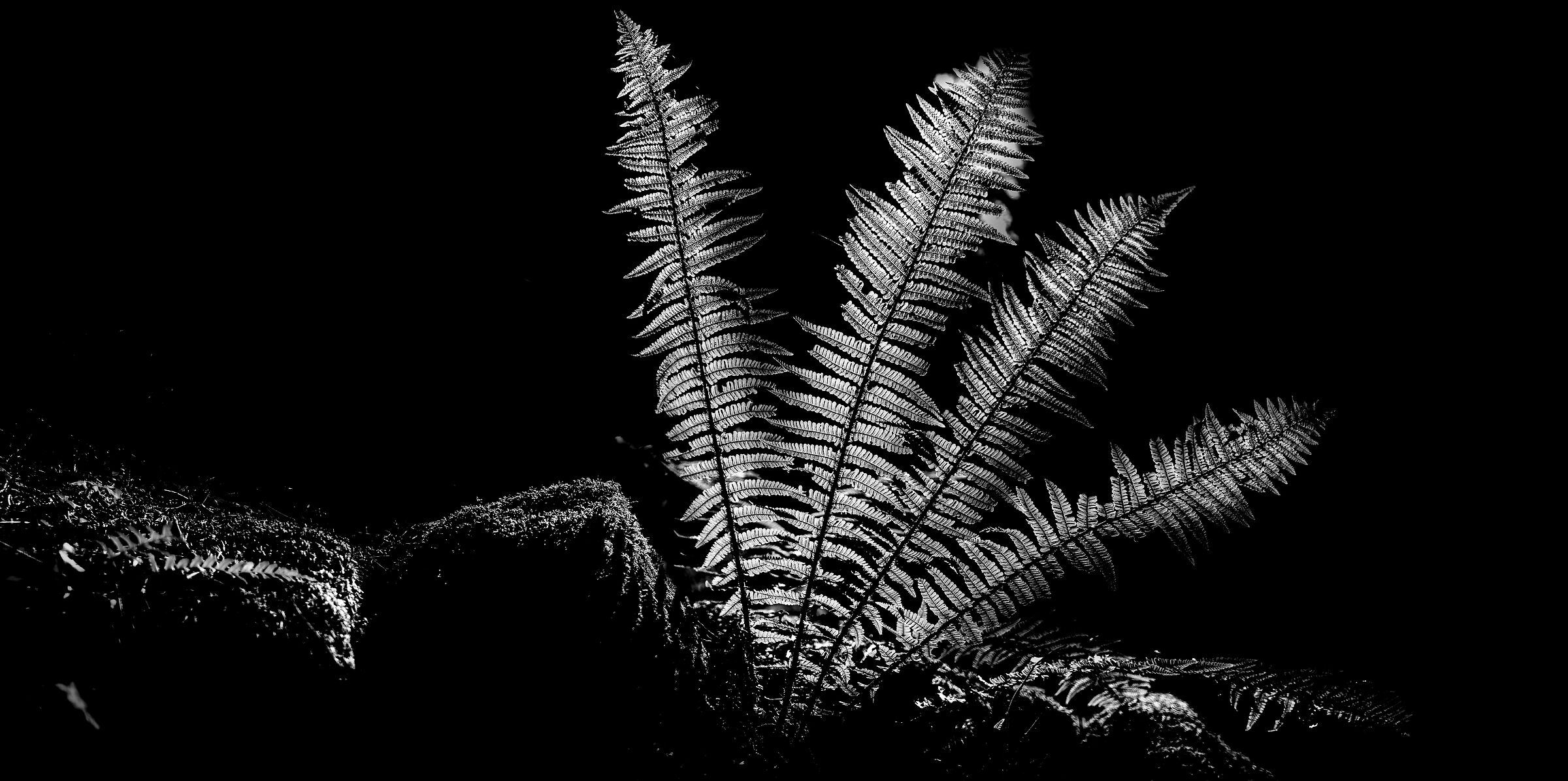 luci in Val di Mello