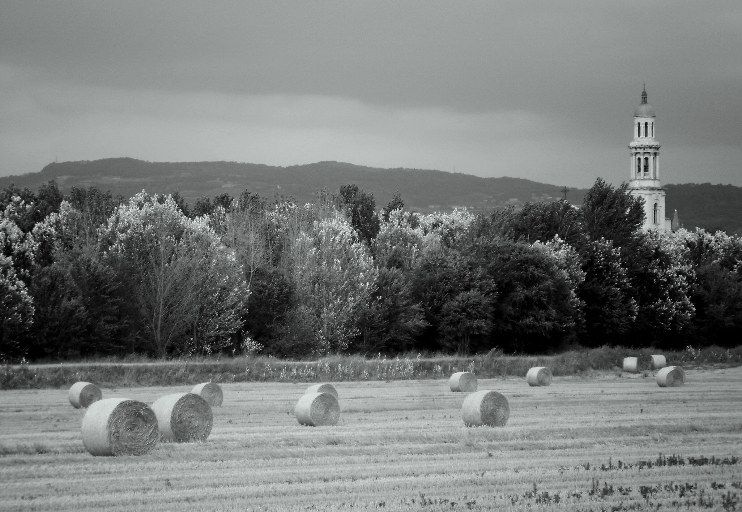 hay harvesting