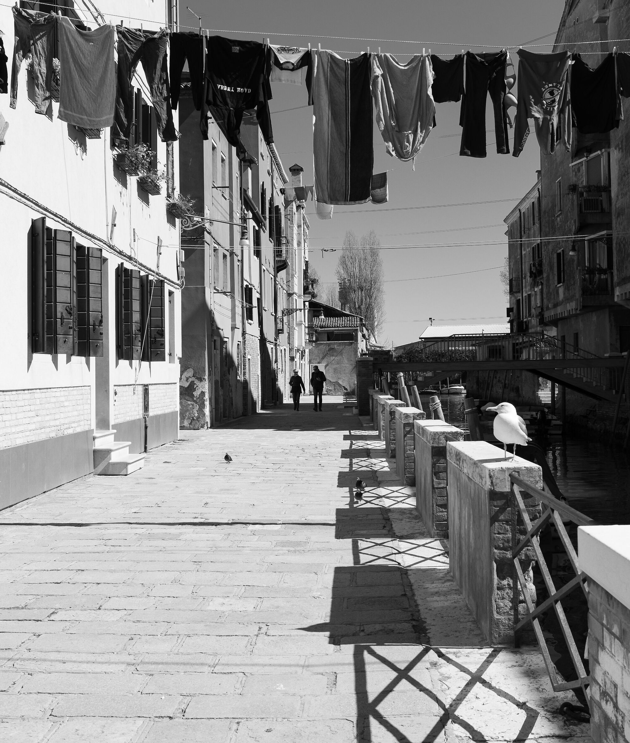 Chiacchiere, panni stesi... e un gabbiano