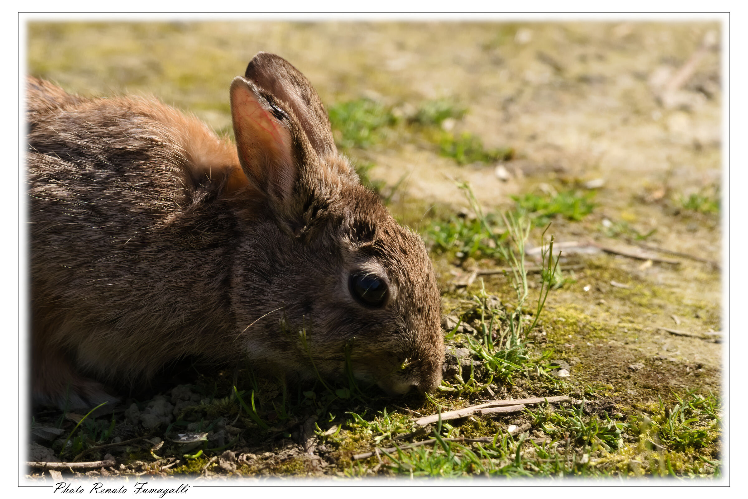 Neighbours neighbours