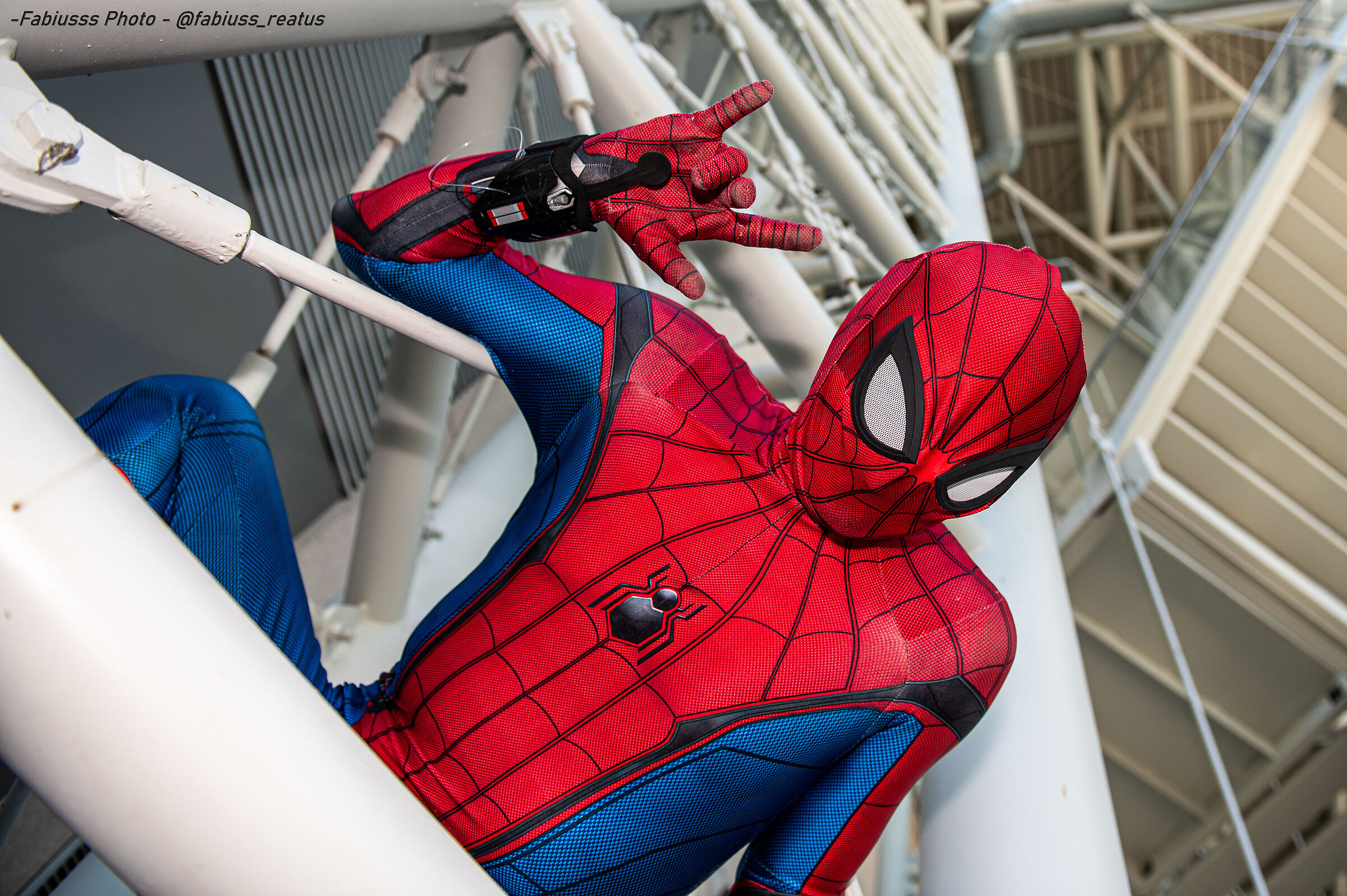 Spider man - gardacon