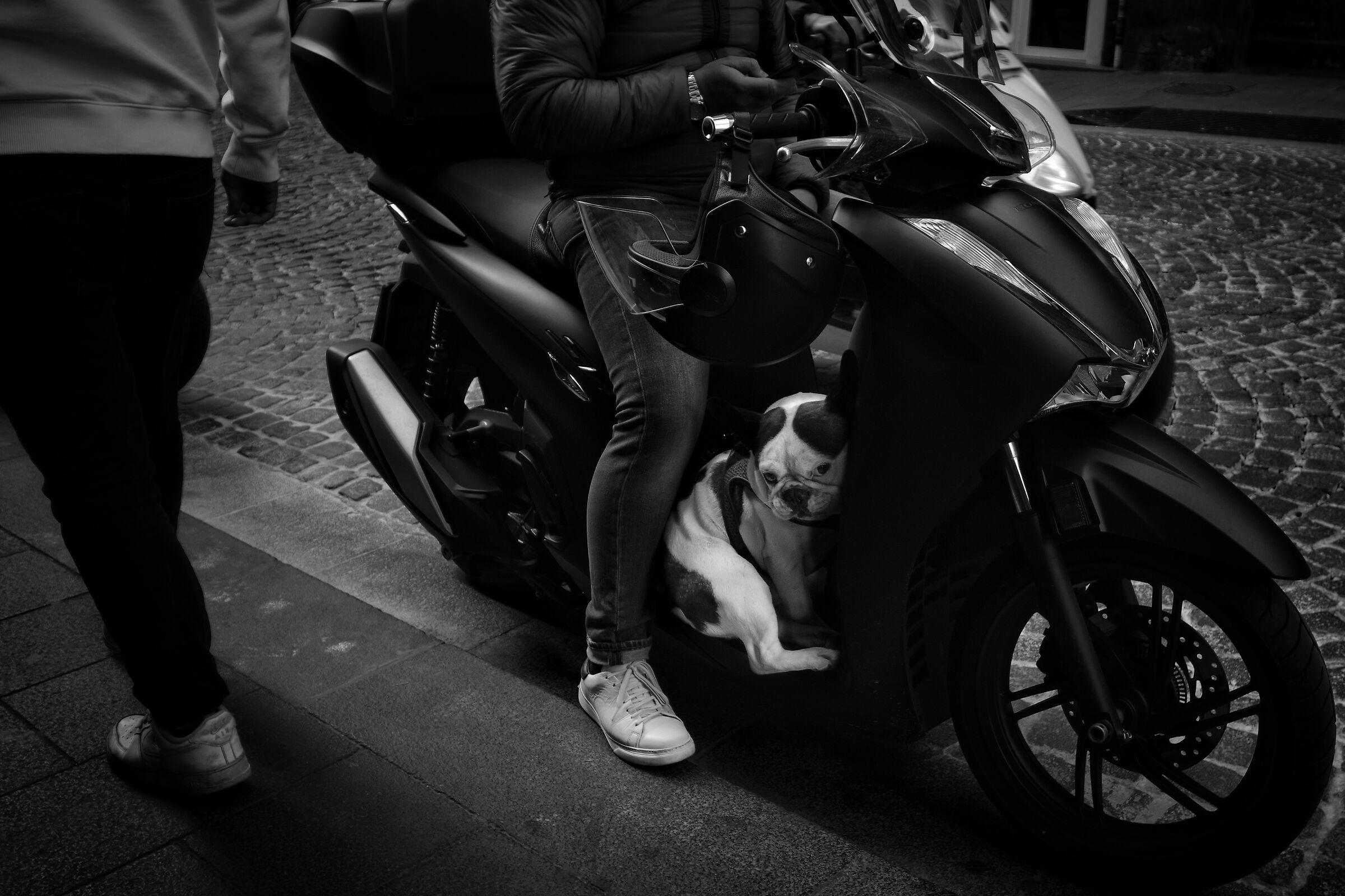 Untitled Photo