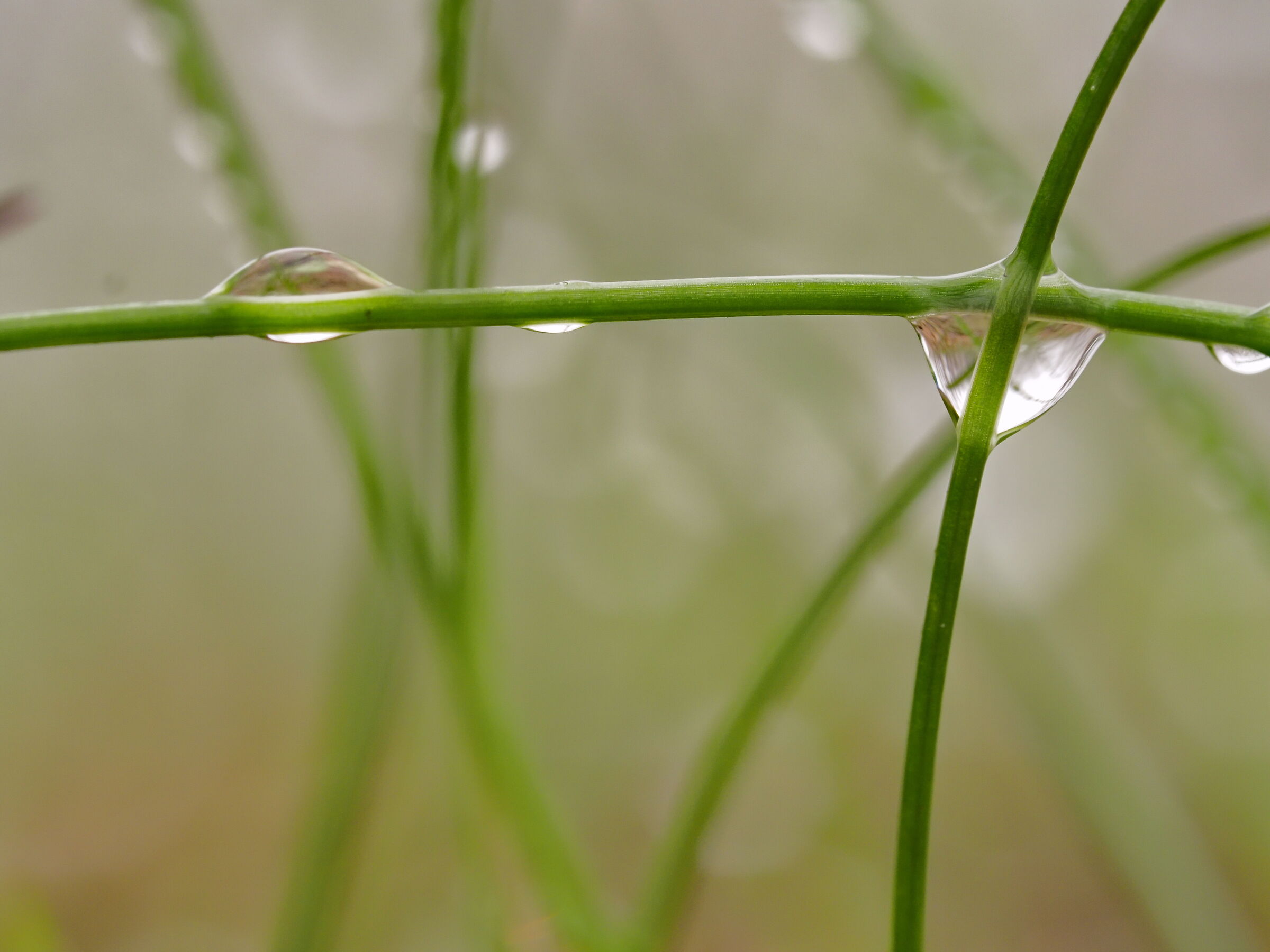 La regola dei terzi...