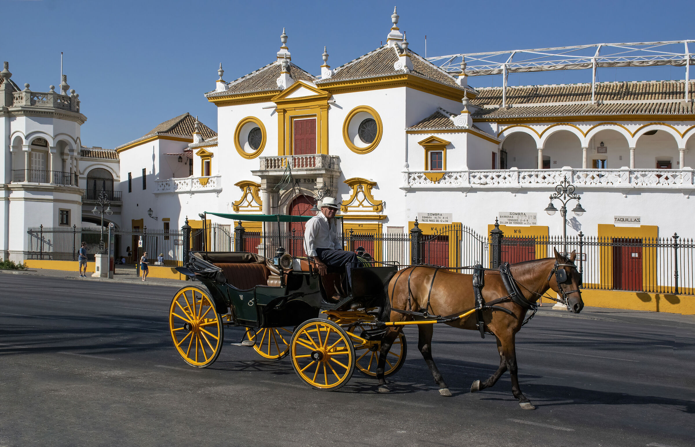 Arena of Seville, the maestranza