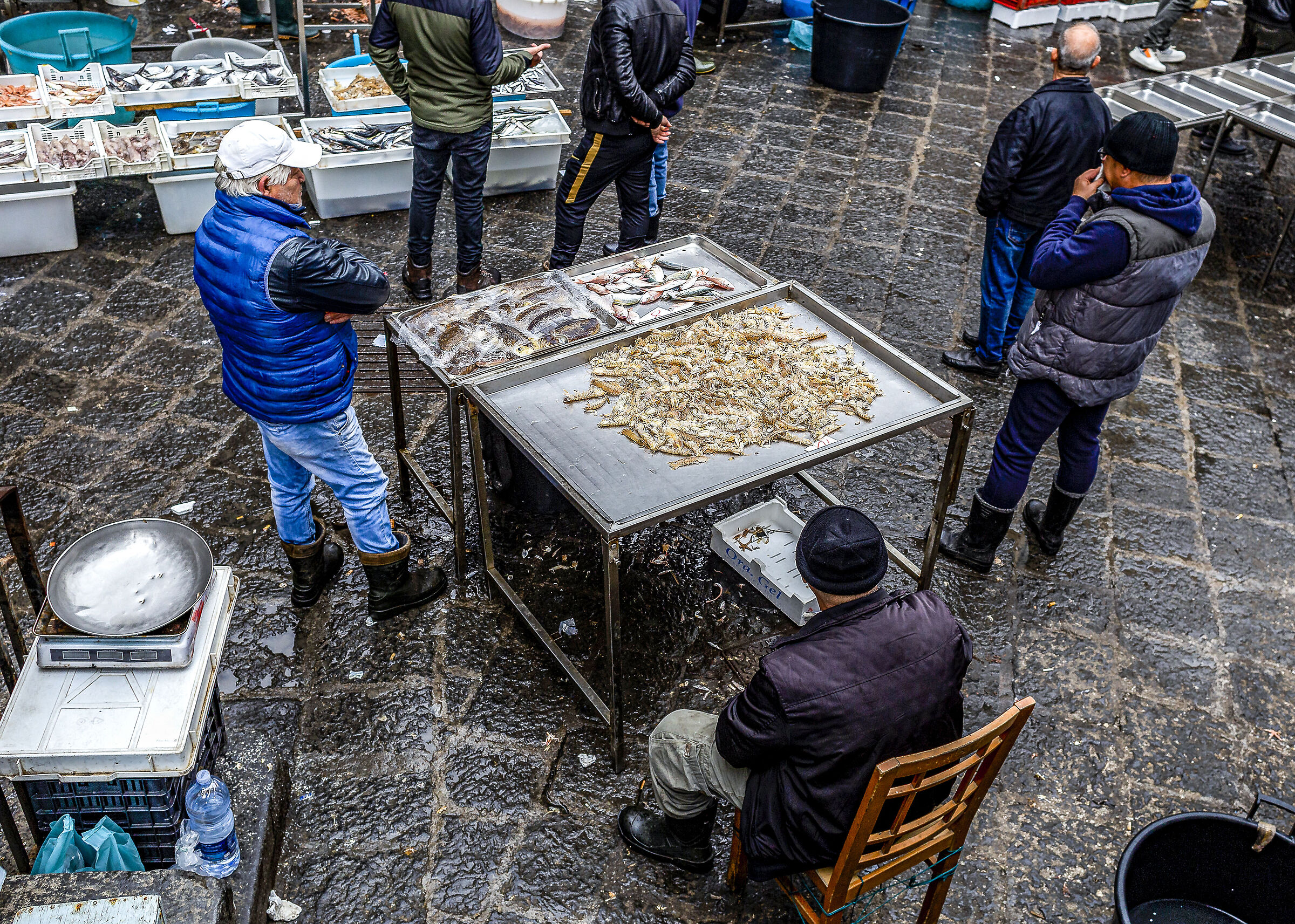 Senza Titolo