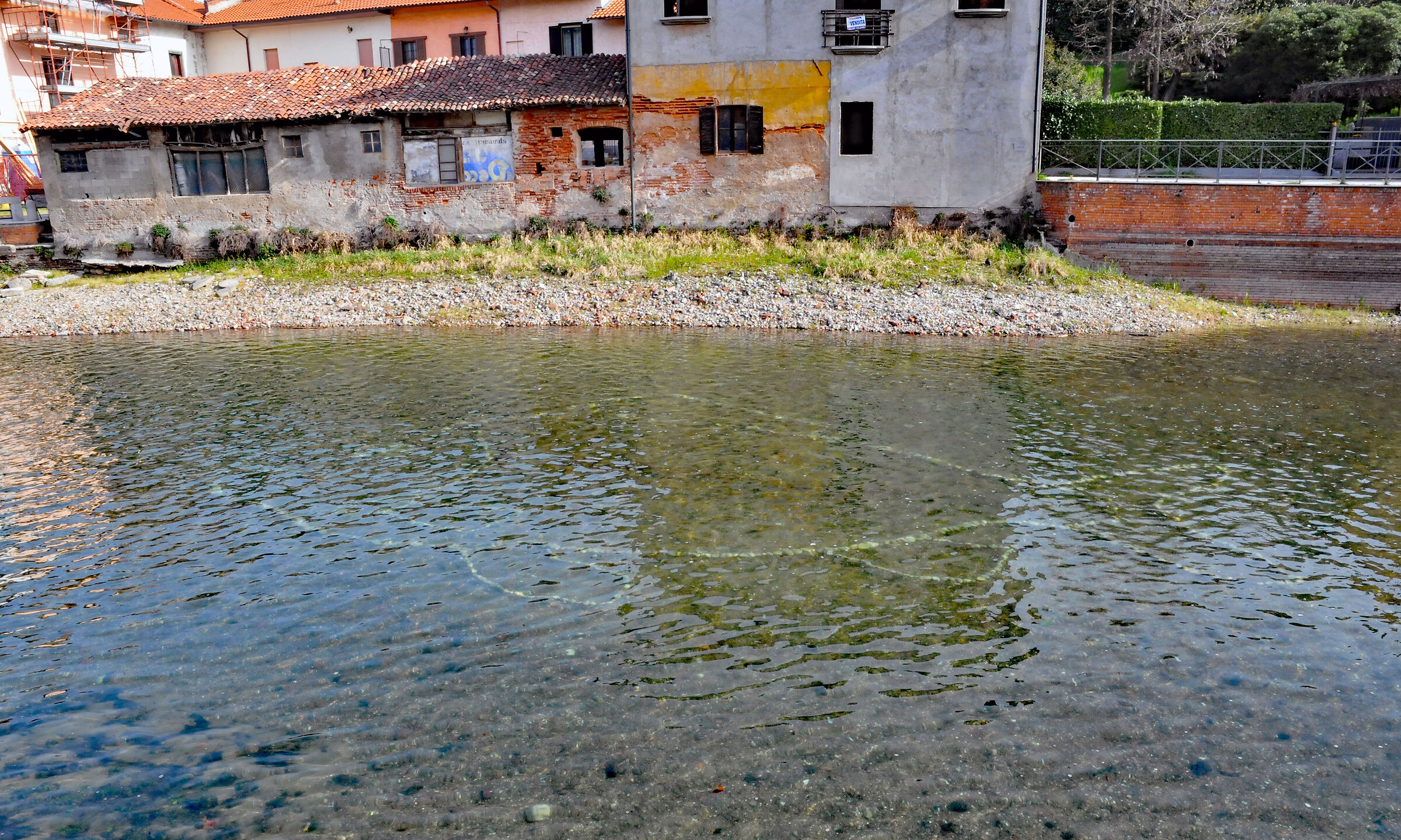 Aprile: pesce in bianco