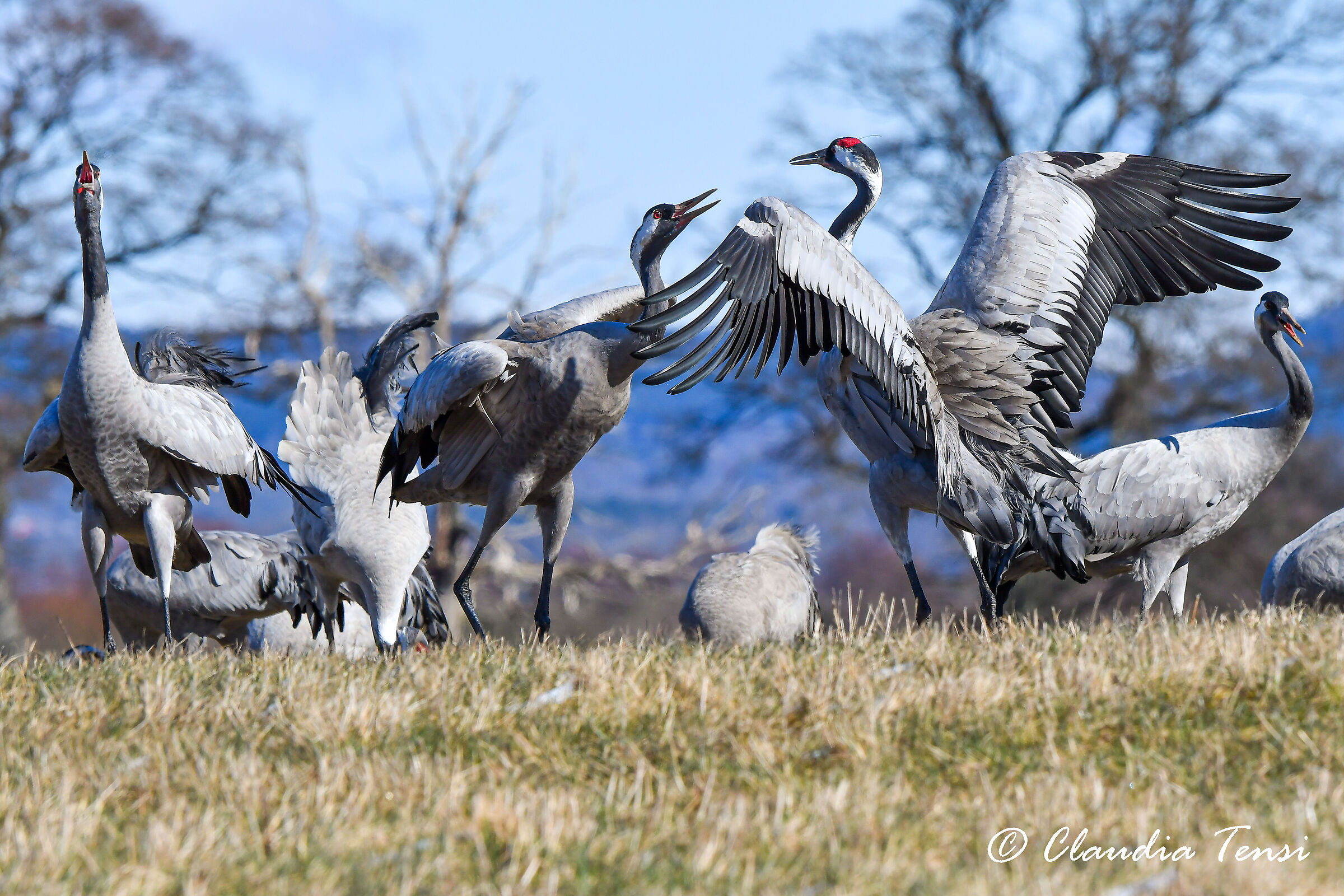 Qualcuno è arrabbiato