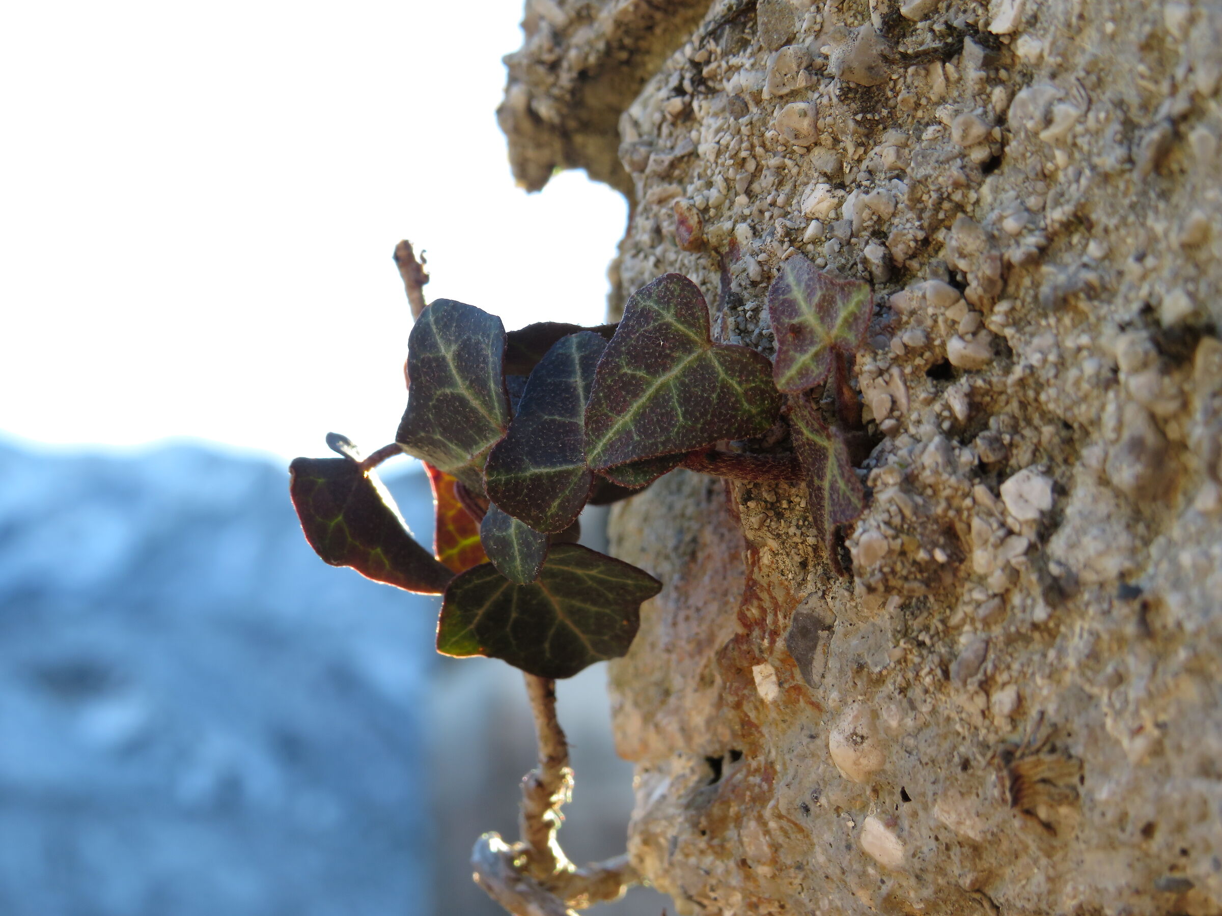 e poi c'è anche lei...