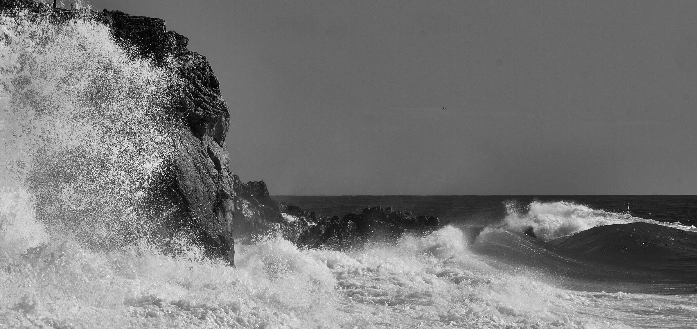 passion and firmness