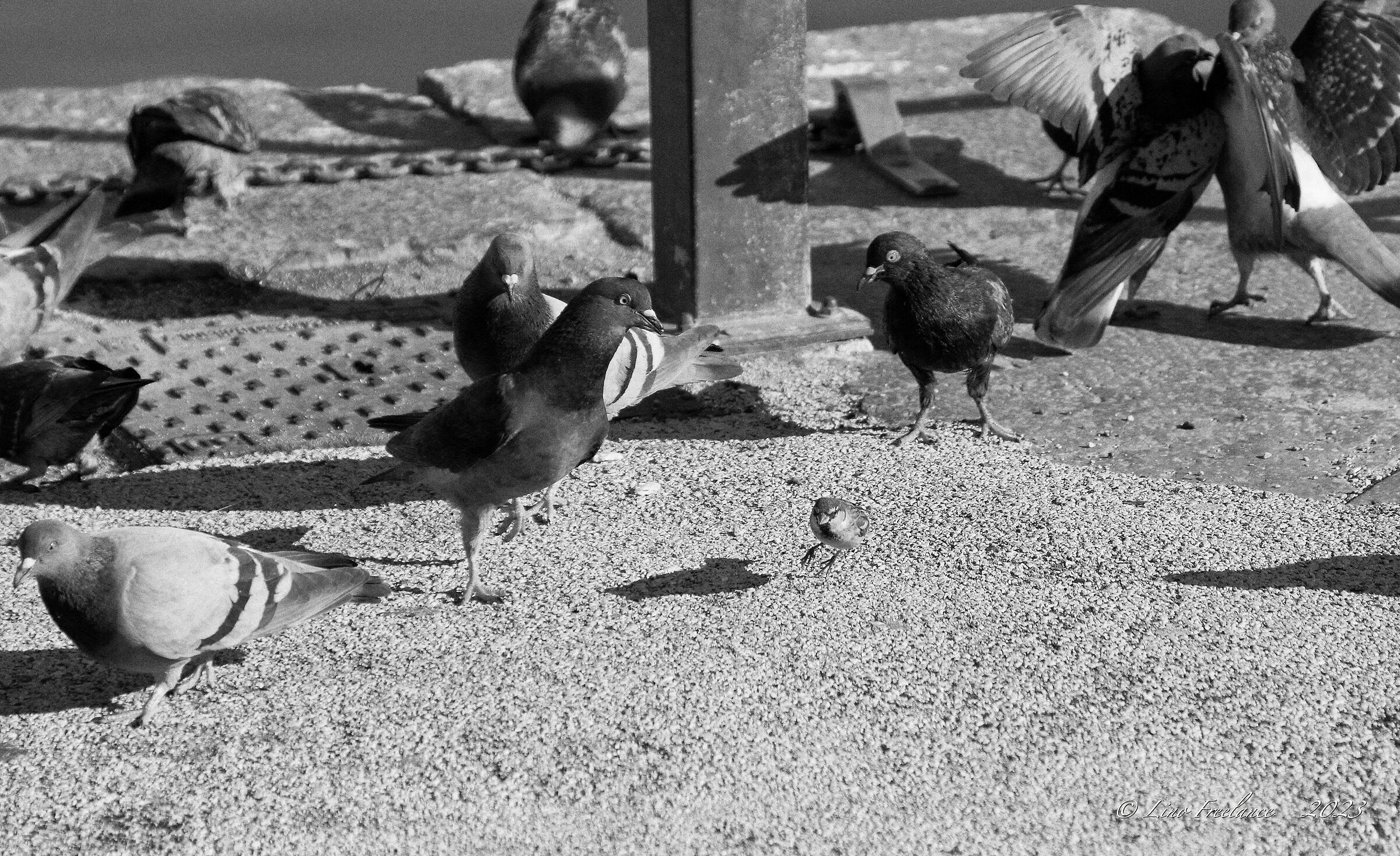Meglio fare un "balzo" in là.