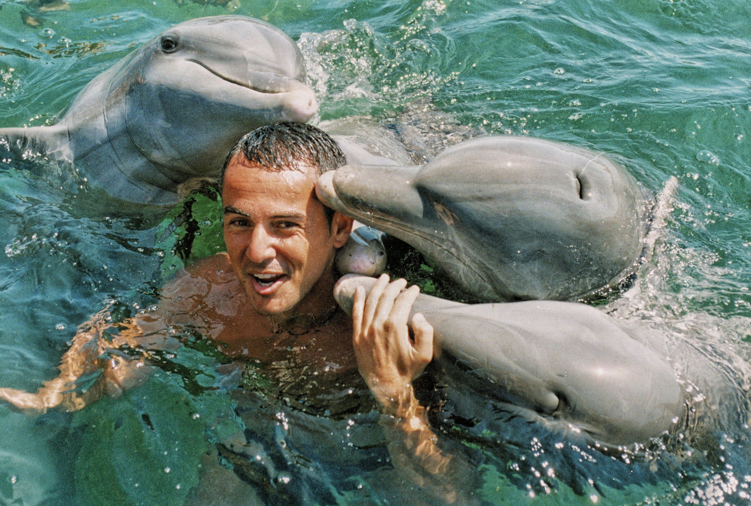 a dip with dolphins
