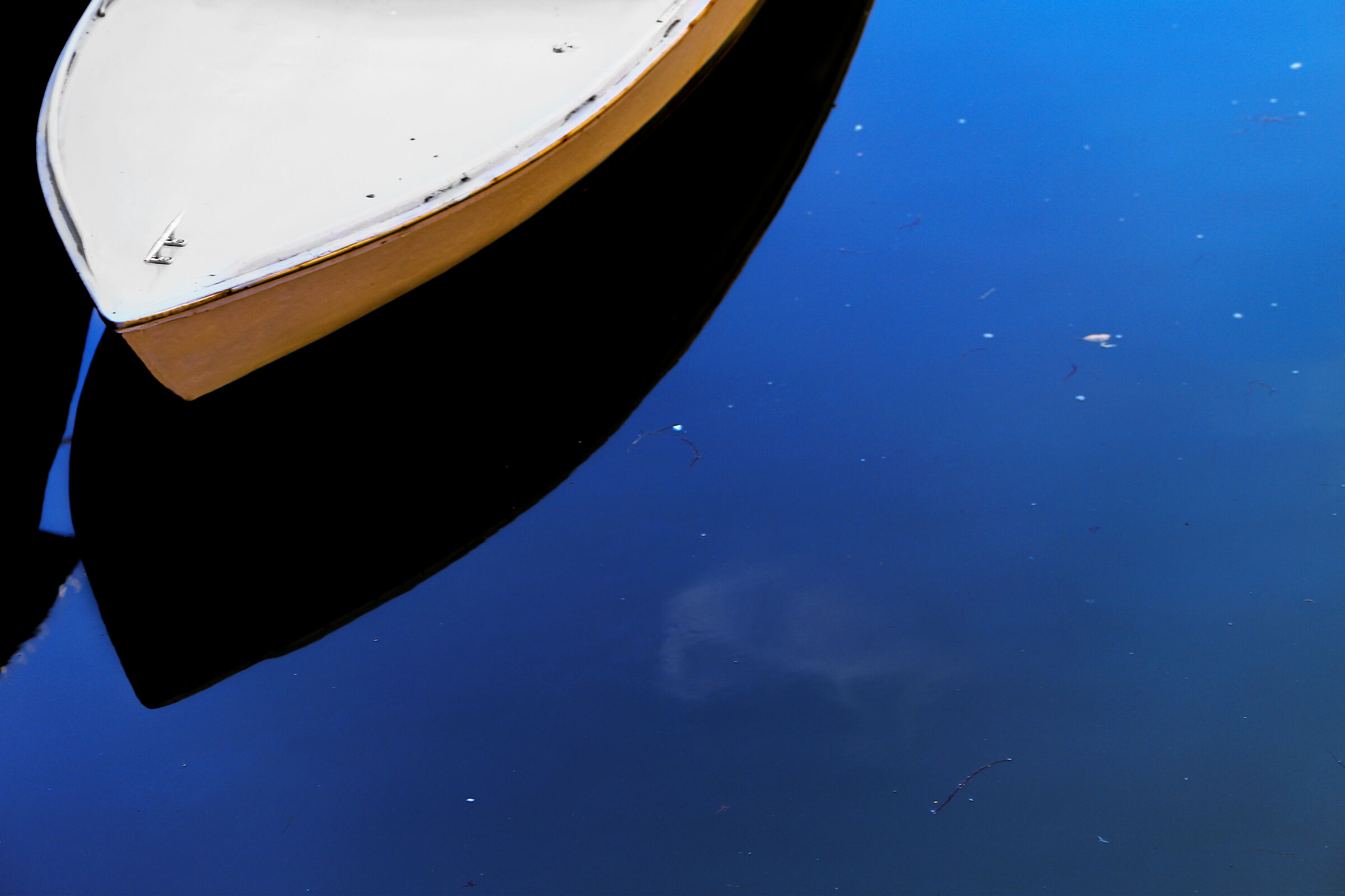 Bow of contrasts
