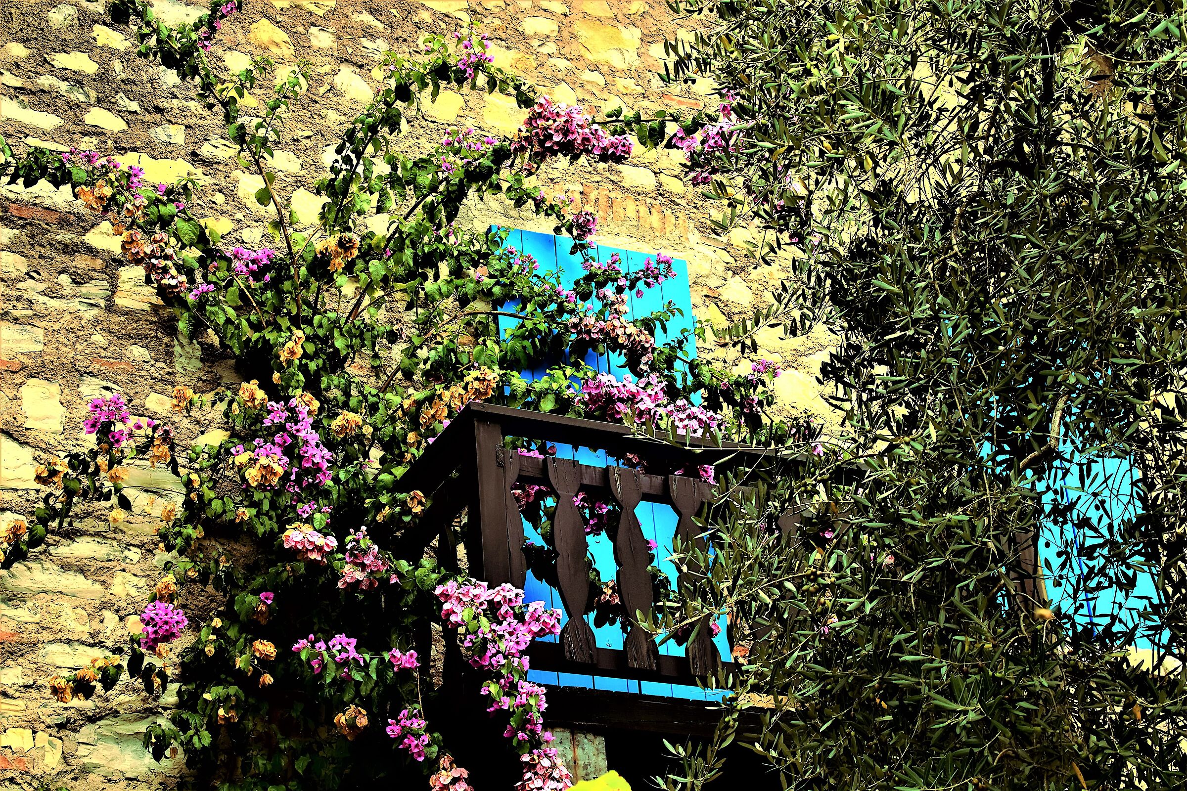 Balcone in fiore ... e con vista Lago