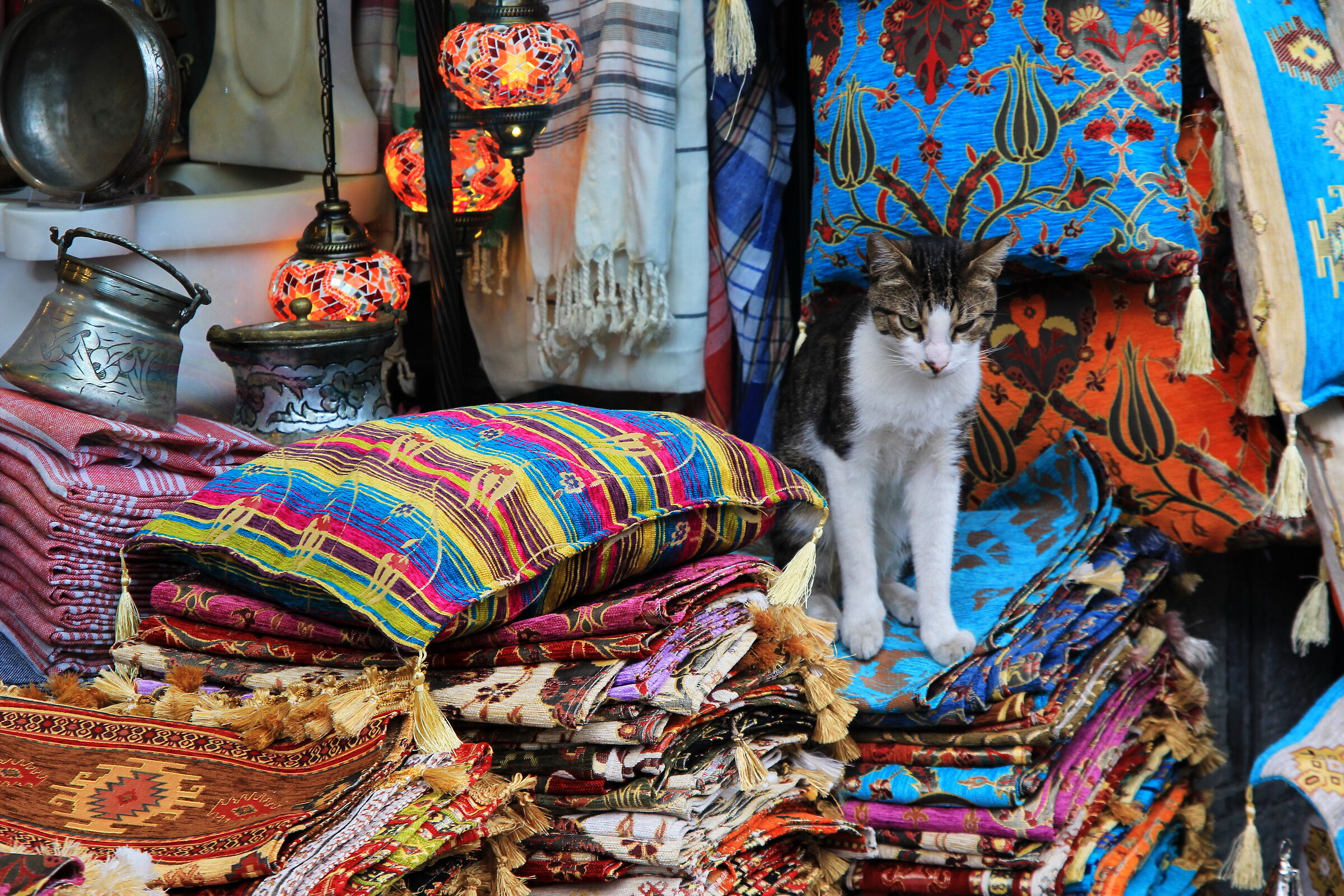 Istanbul e i suoi momenti unici