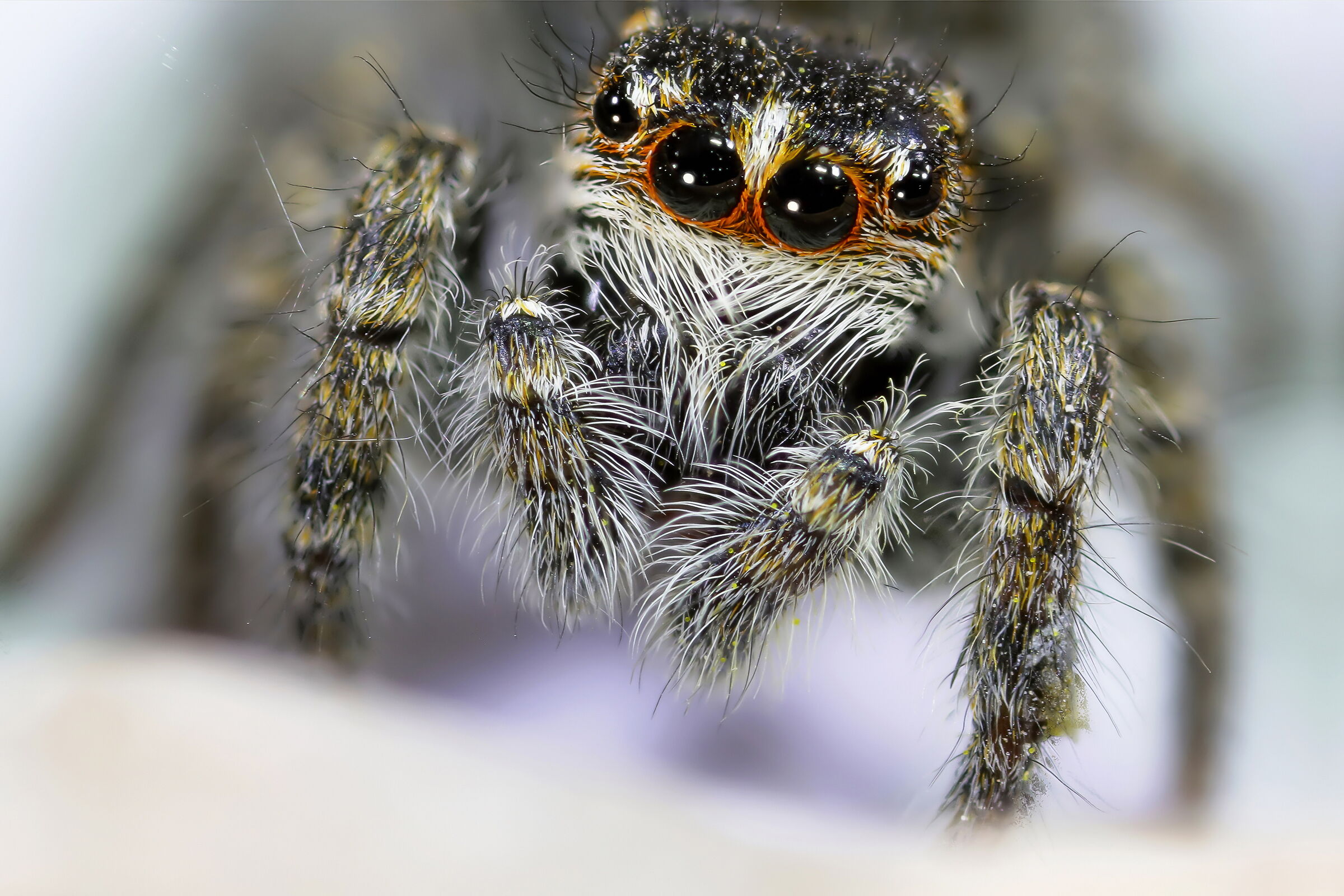 With stars in your eyes