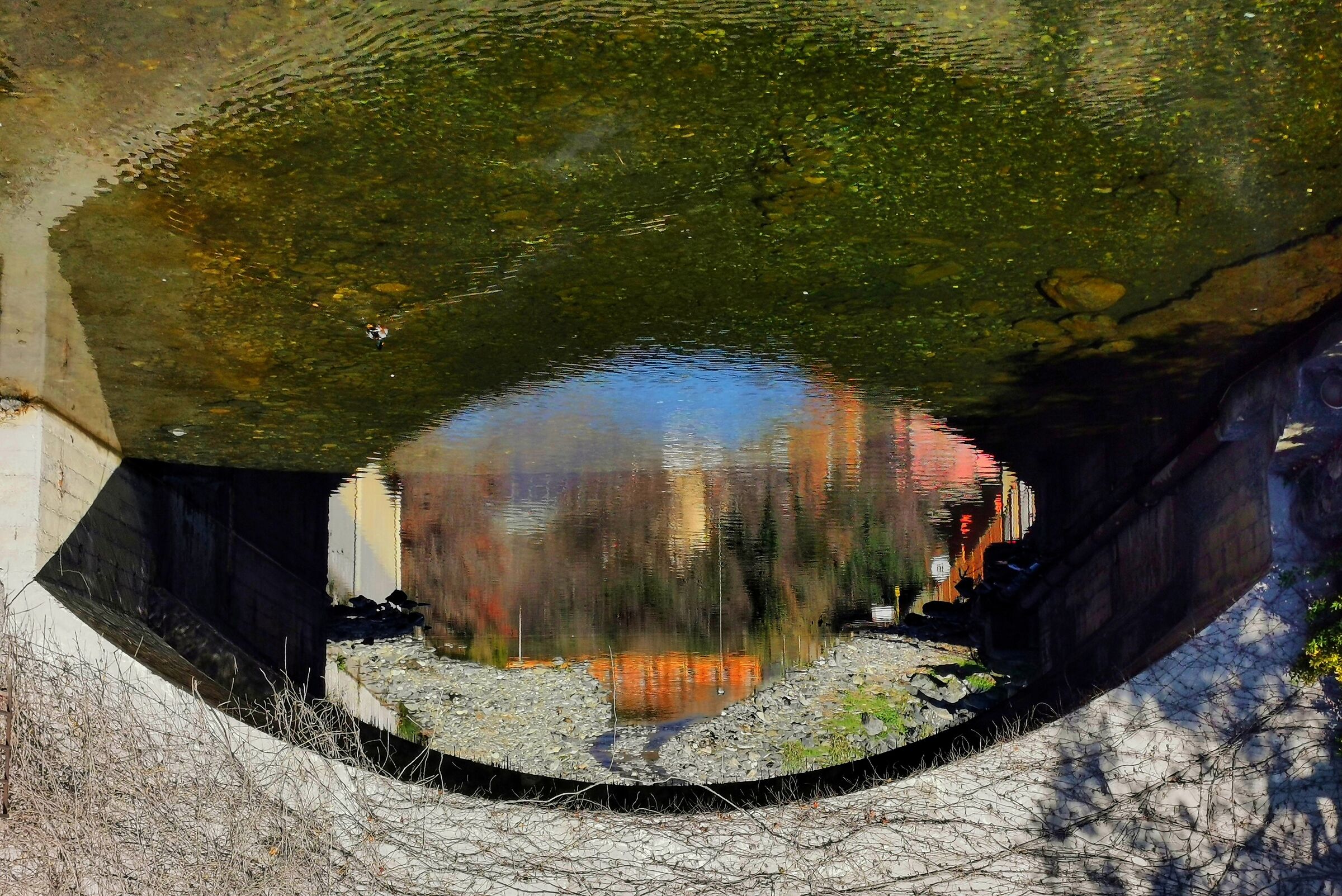 When everything seems to be turned upside down ...