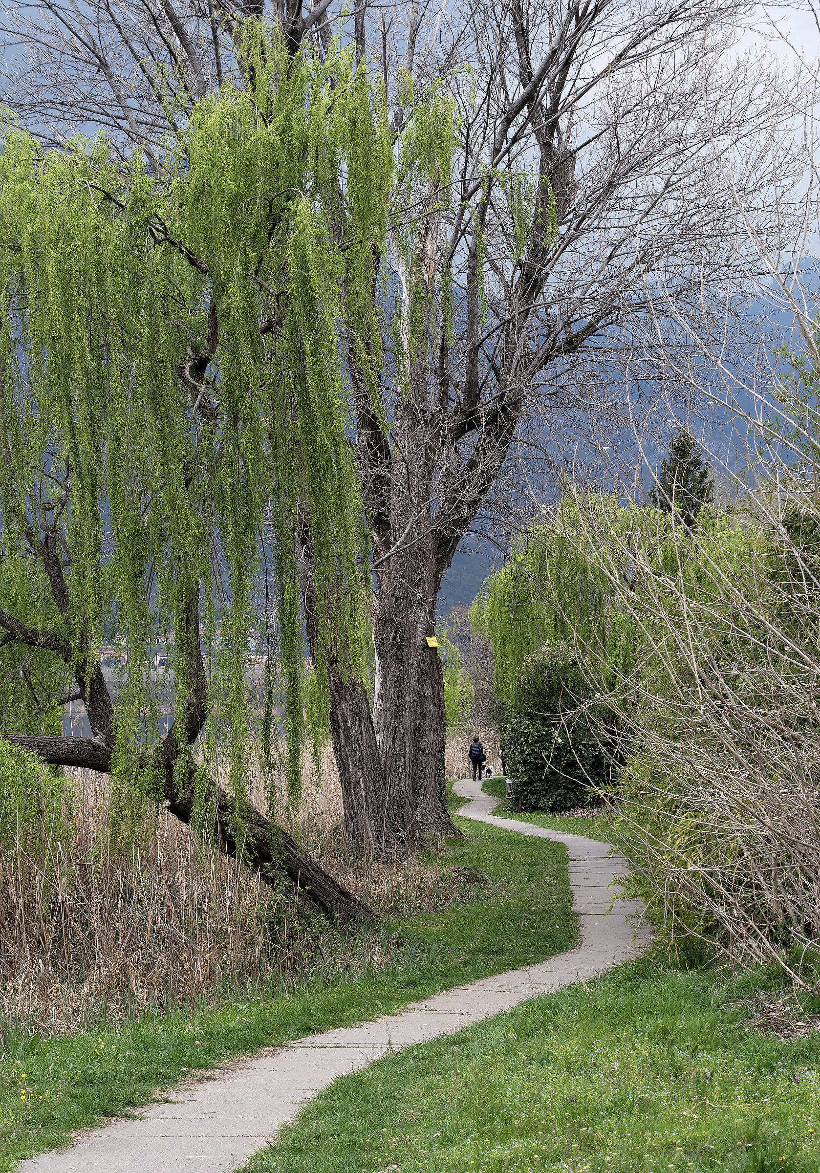 Lago di Annone