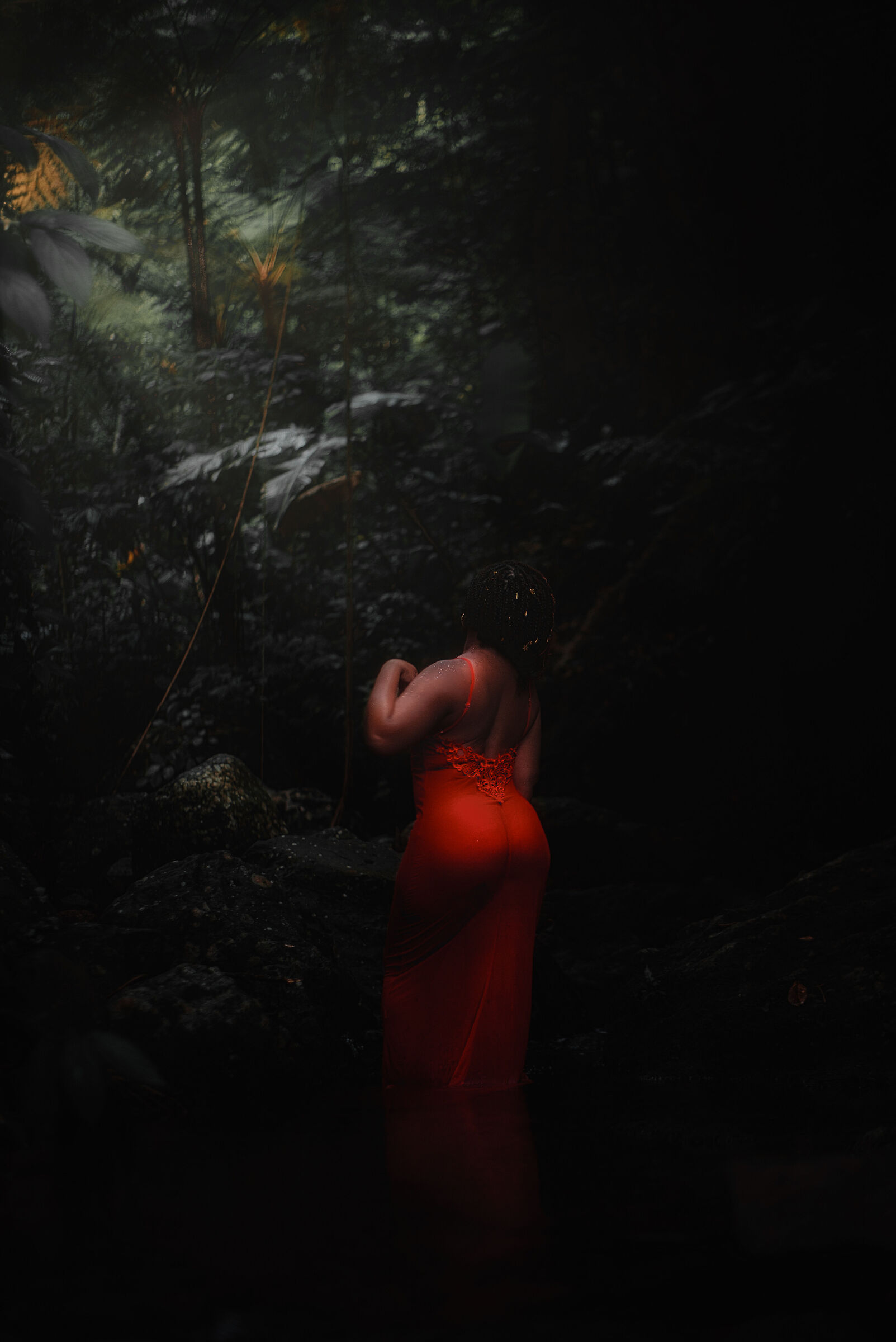 In forest