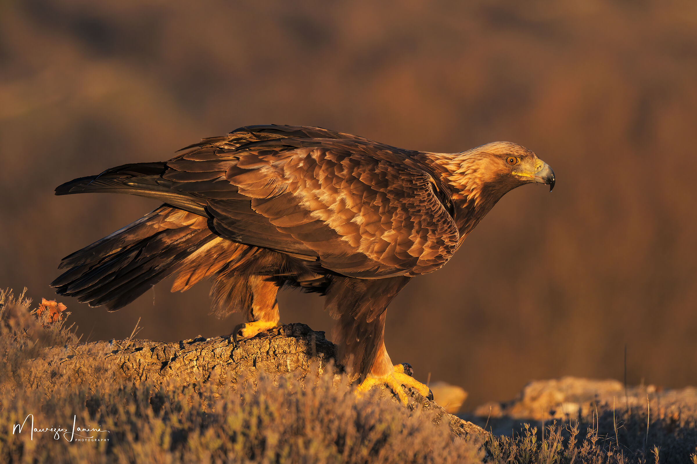 Alle primissime luci